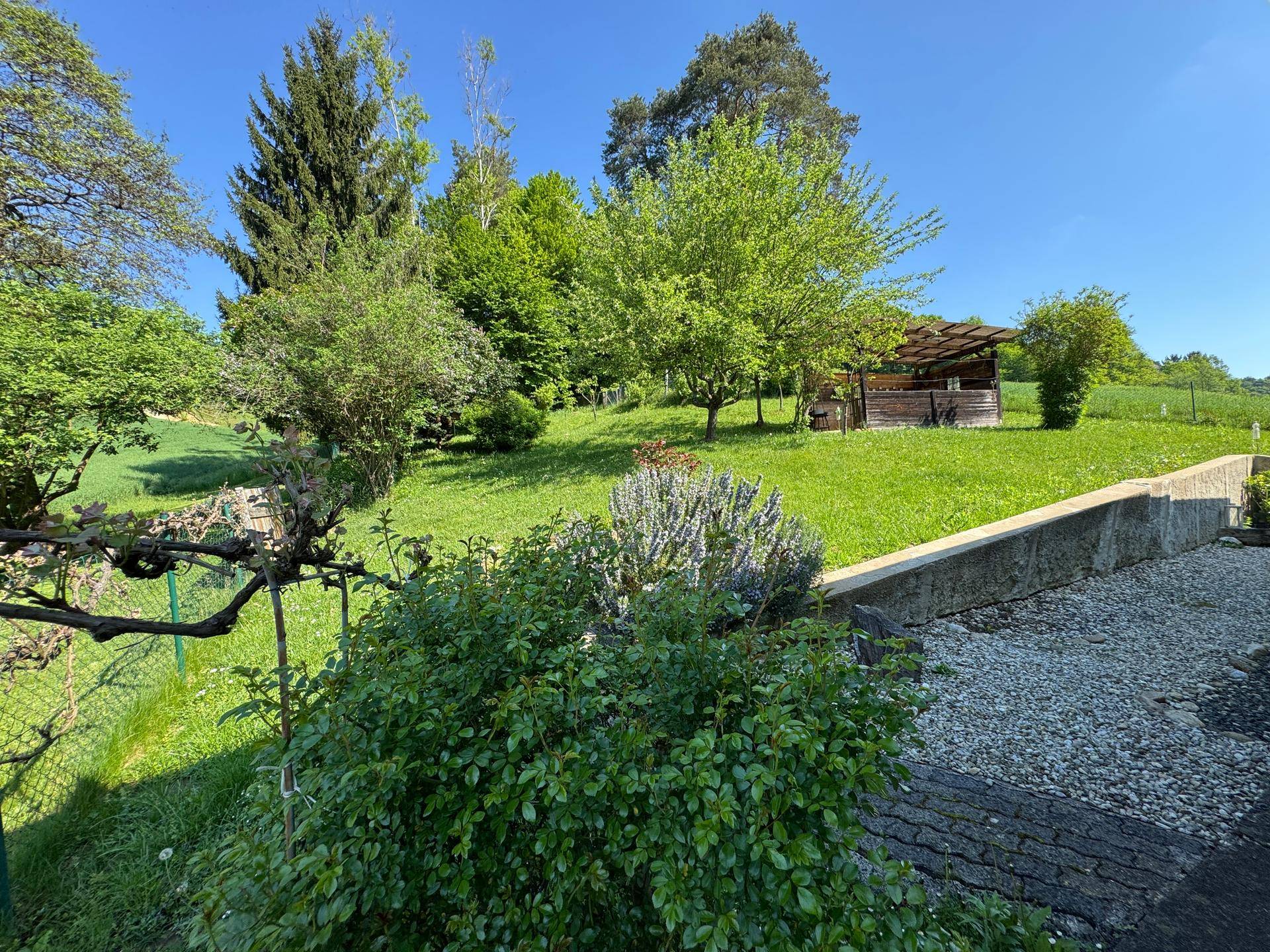 Gepflegter Garten mit Rasenfläche, Bäumen und einem kleinen Holzschuppen im Hintergrund.