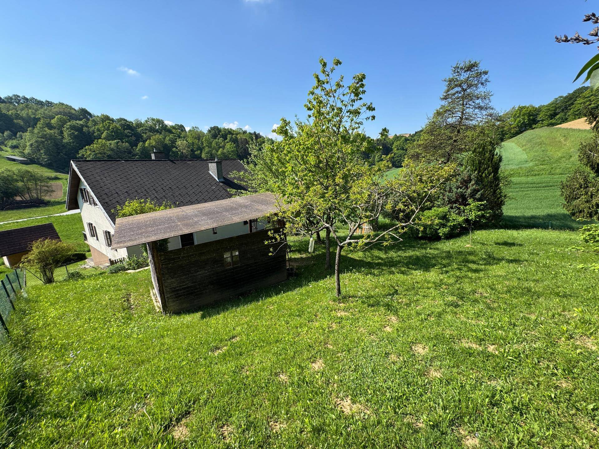 Großer Garten mit Rasen, Bäumen und einem kleinen Holzschuppen, das Haus im Hintergrund.