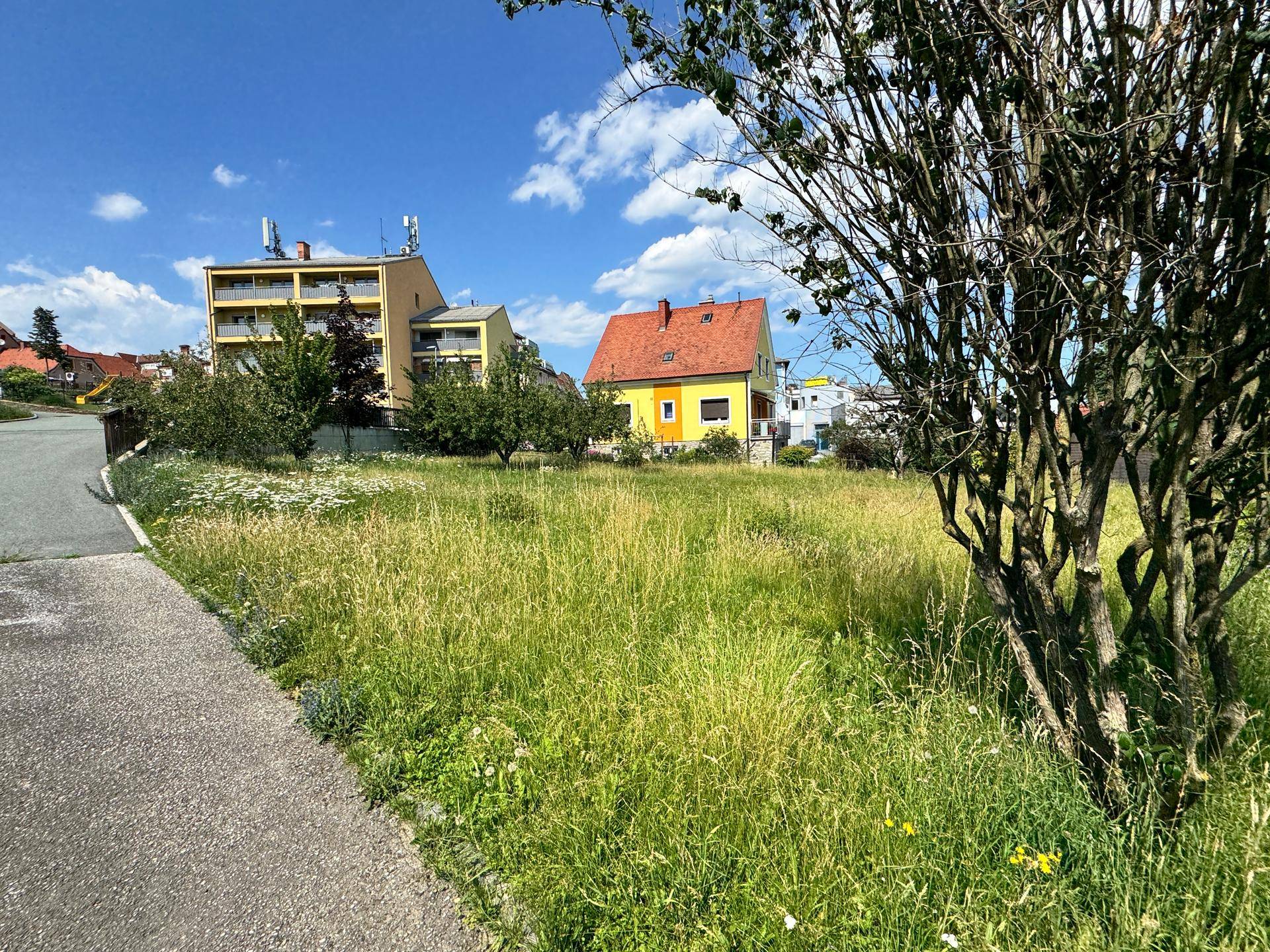 Weitläufiges, sonniges Grundstück mit hohem Gras und Bäumen, umgeben von Wohnbebauung.