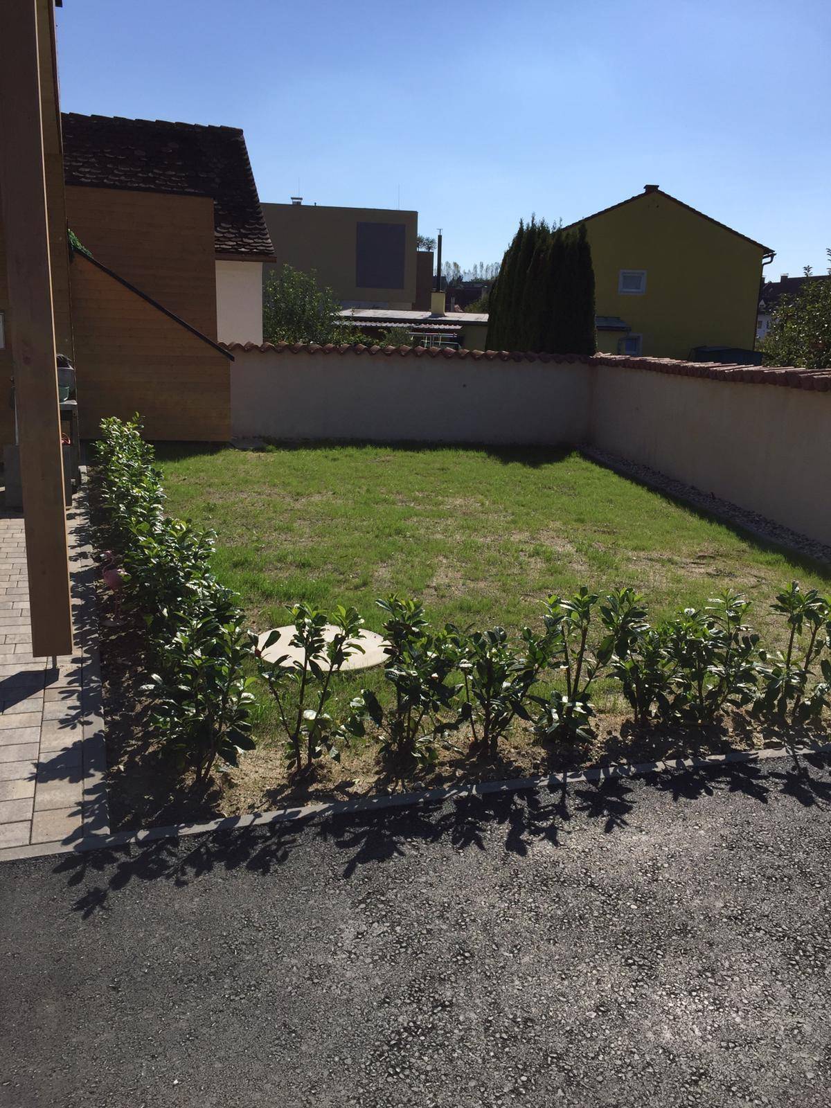 Kleiner, pflegeleichter Gartenbereich mit Rasenfläche und jungen Heckenpflanzen.