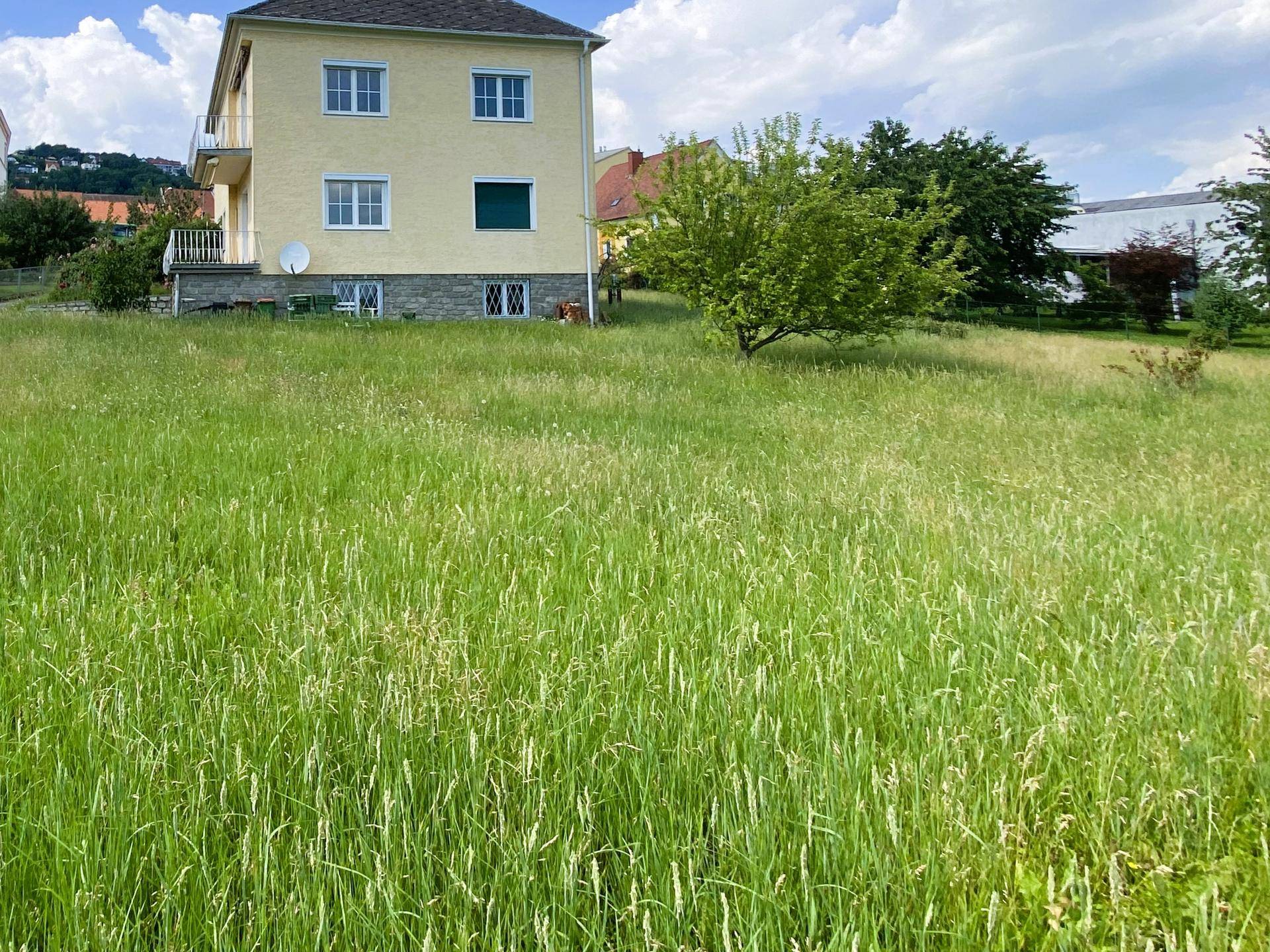 Gelbes Wohnhaus mit Steinsockel und großer, ungemähter Wiese im Vordergrund.