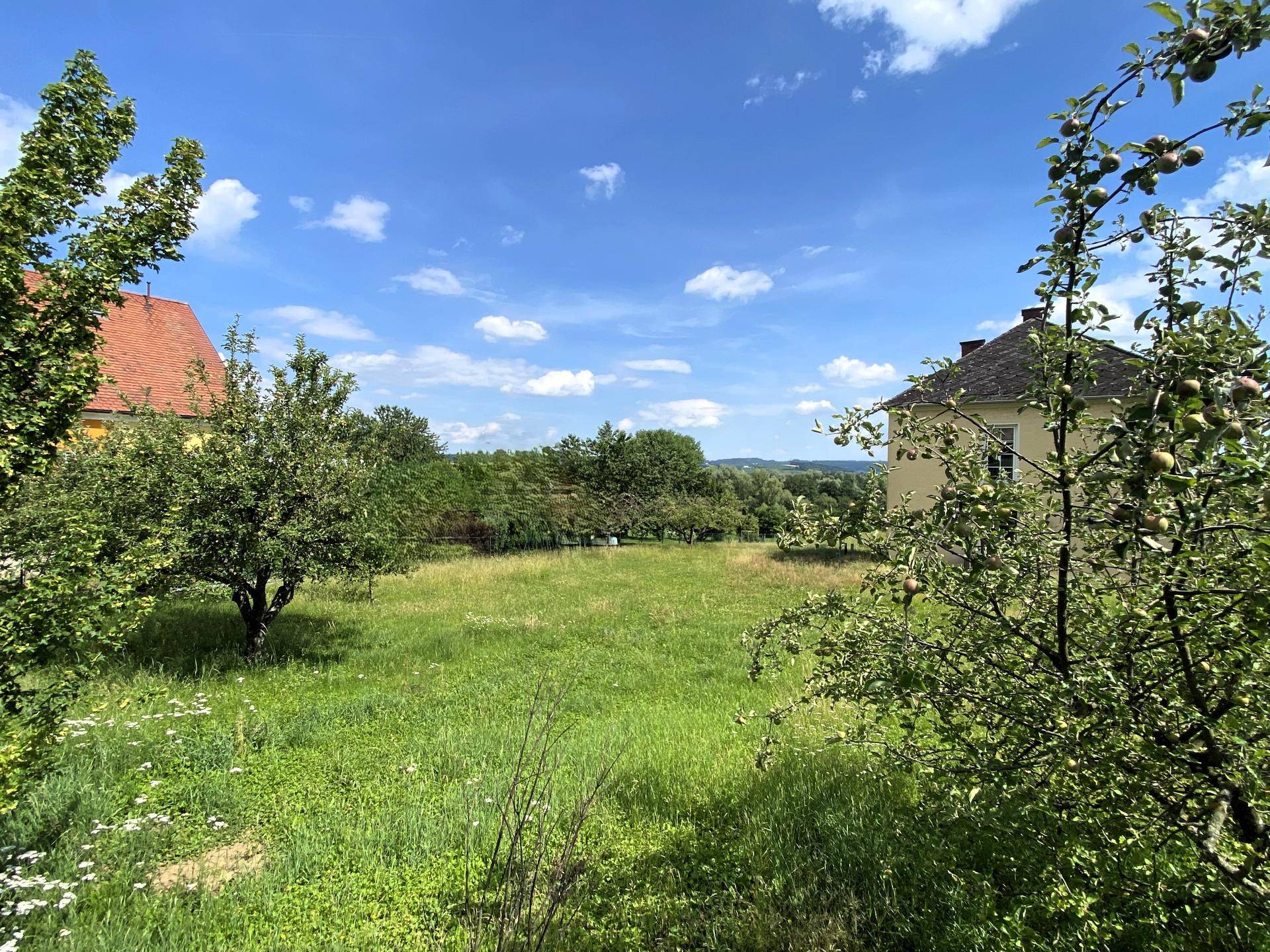 Idyllische Wiesenlandschaft mit Obstbäumen und weitem Blick in die Ferne.