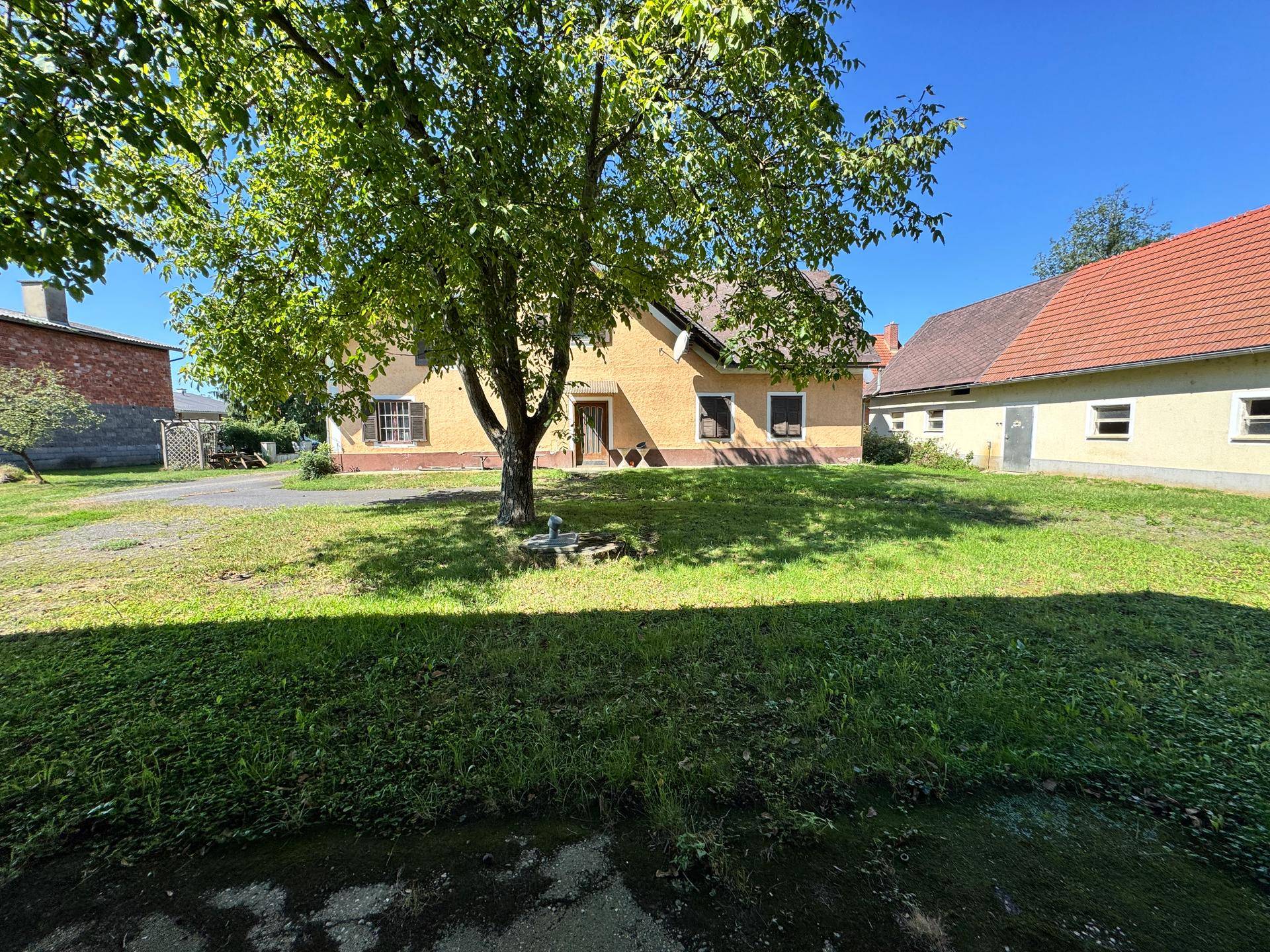 Vorderansicht des Hauses mit großem Baum und weitläufiger Rasenfläche an einem sonnigen Tag.