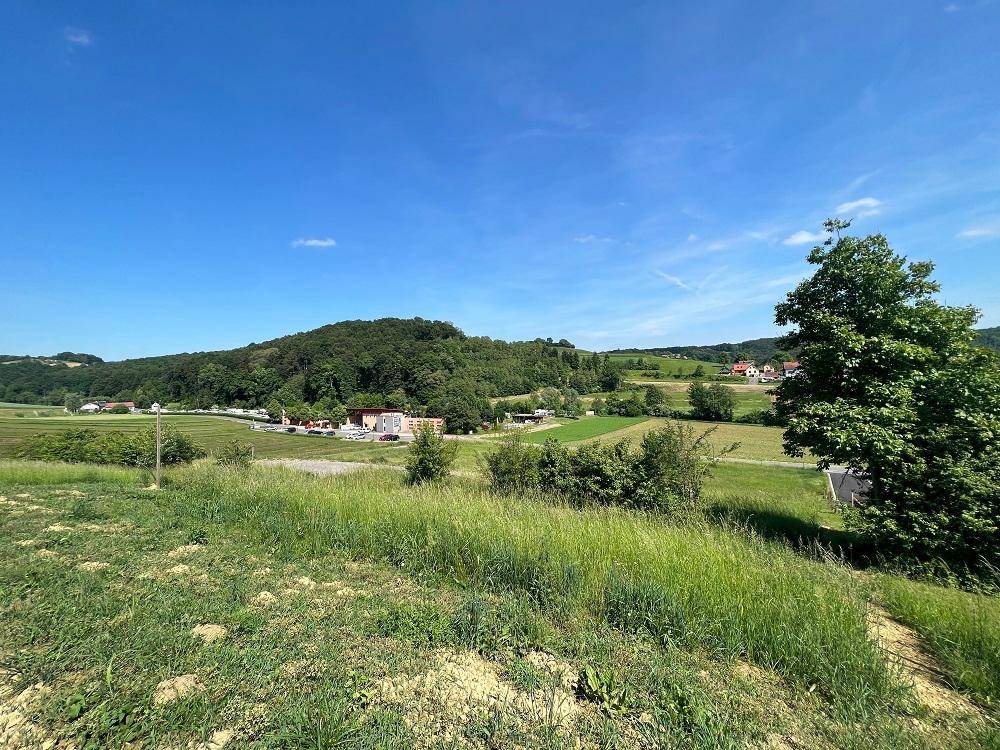 Weitläufige grüne Landschaft mit einem einzelnen Baum und Häusern in der Ferne.