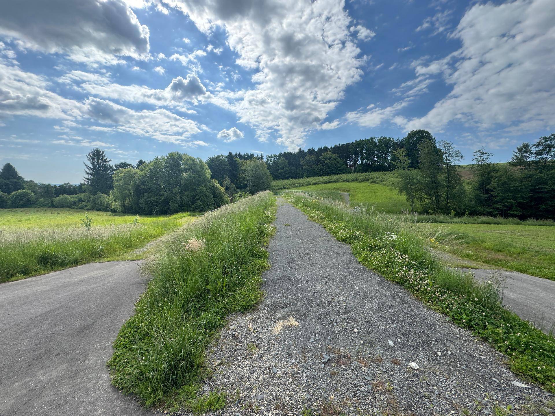 Schotterweg führt durch eine grüne Landschaft mit Bäumen unter einem sonnigen Wolkenhimmel.