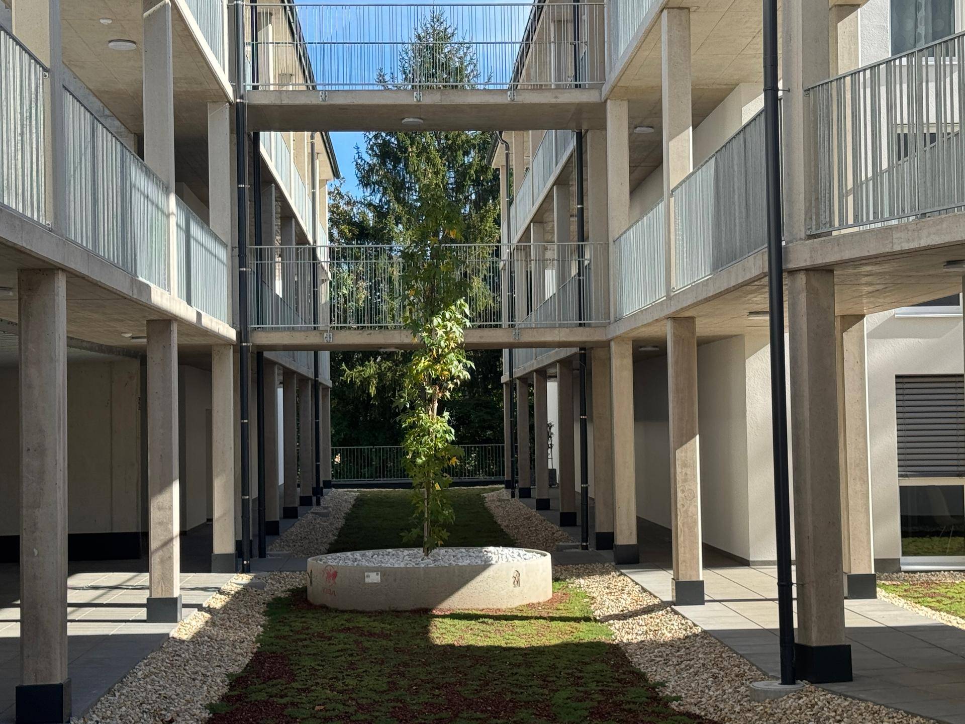Moderner Innenhof mit Kieswegen, Grünflächen und einem jungen Baum als zentralem Element.