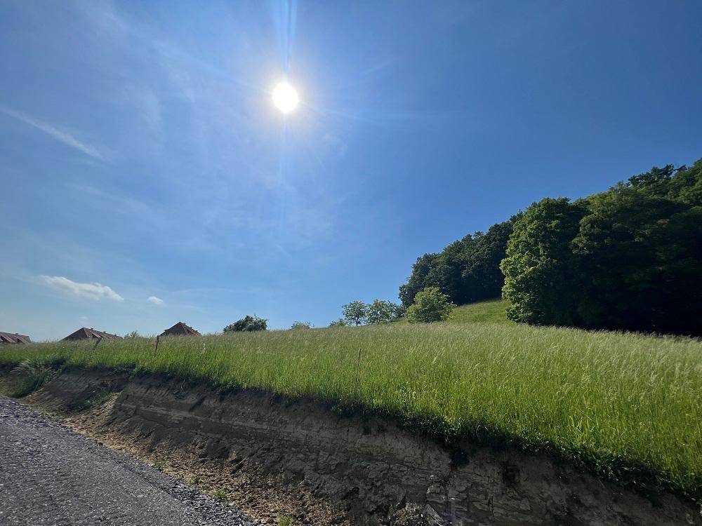Sonnige, grüne Hügellandschaft mit weiten Wiesen und bewaldeten Hängen unter blauem Himmel.