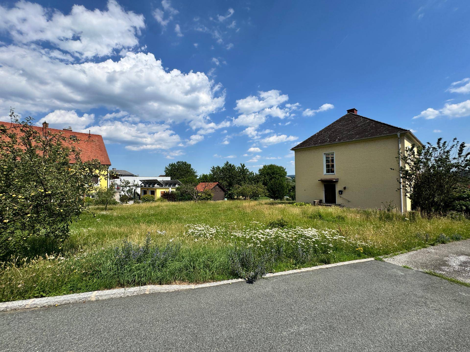 Grünes Grundstück mit hohem Gras, umgeben von Wohnhäusern und einer Zufahrtsstraße.