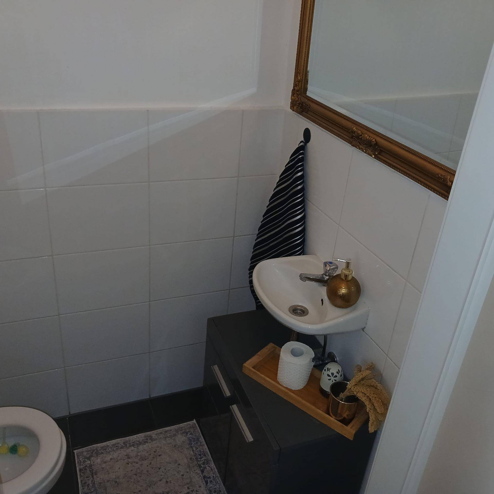 Kleines Gäste-WC mit Waschbecken, Toilette und einem dekorativen Spiegel an der Wand.