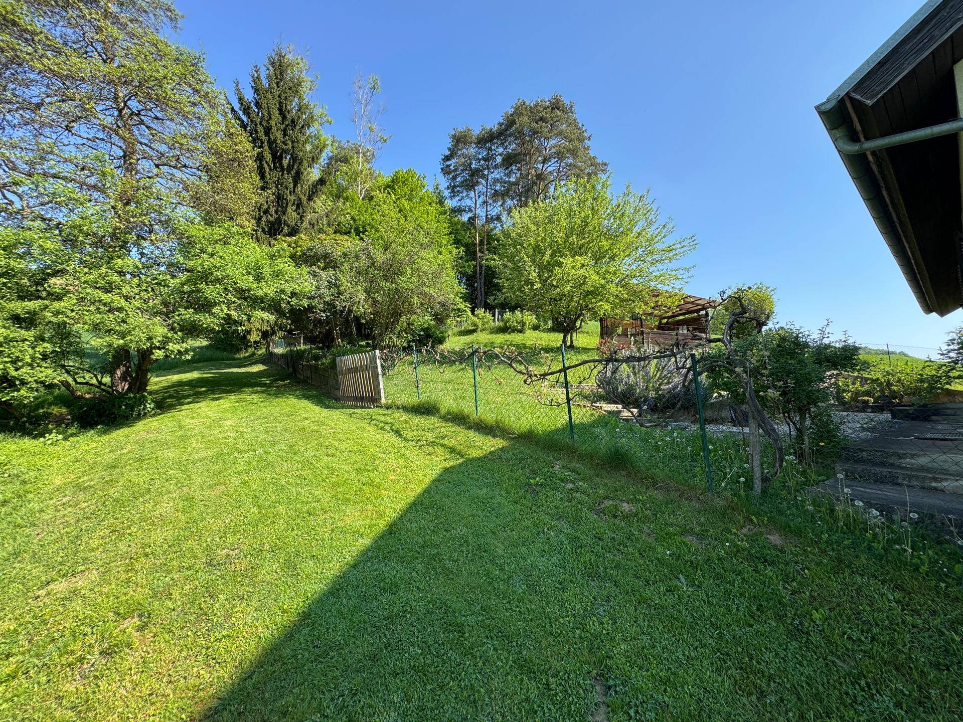 Weitläufiger Gartenbereich mit Rasenfläche, Bäumen und einem Zaun im Vordergrund.