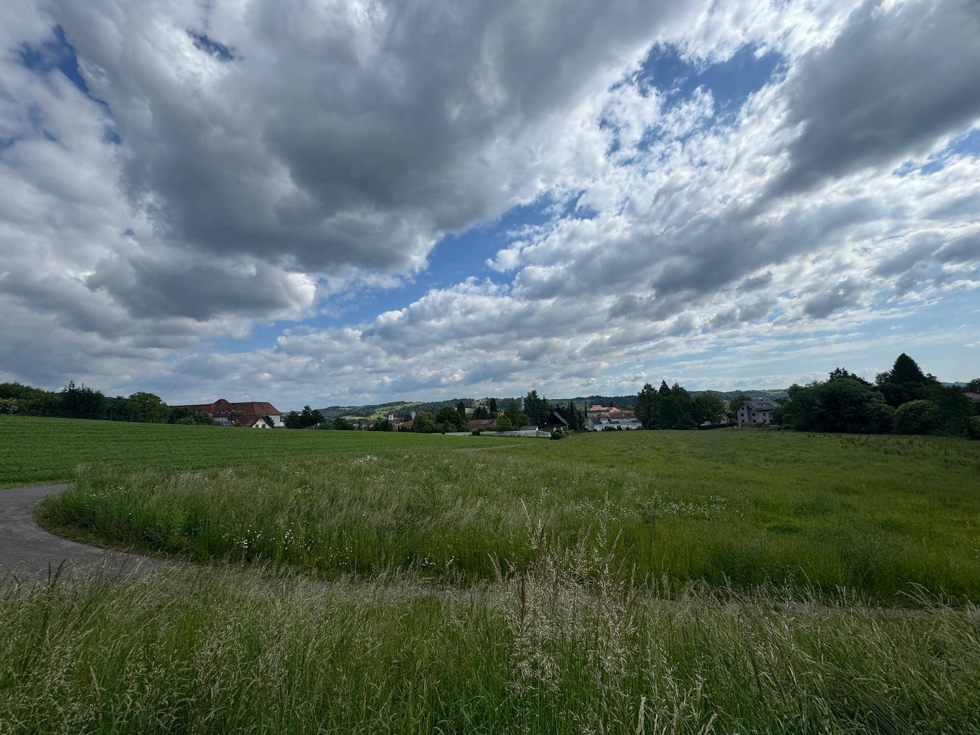 Weite grüne Fläche mit einem Feldweg und Häusern am Horizont unter einem Wolkenhimmel.