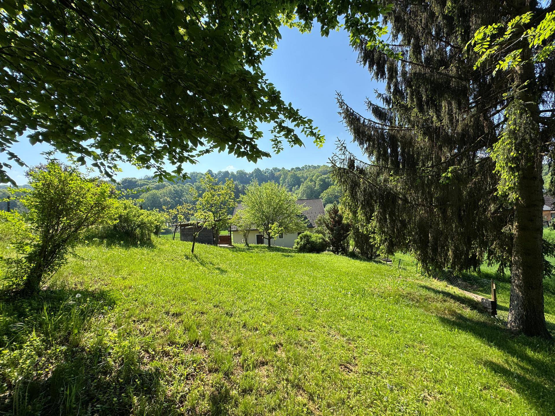 Naturbelassener Gartenbereich mit hohen Bäumen und weitem Blick in die grüne Landschaft.