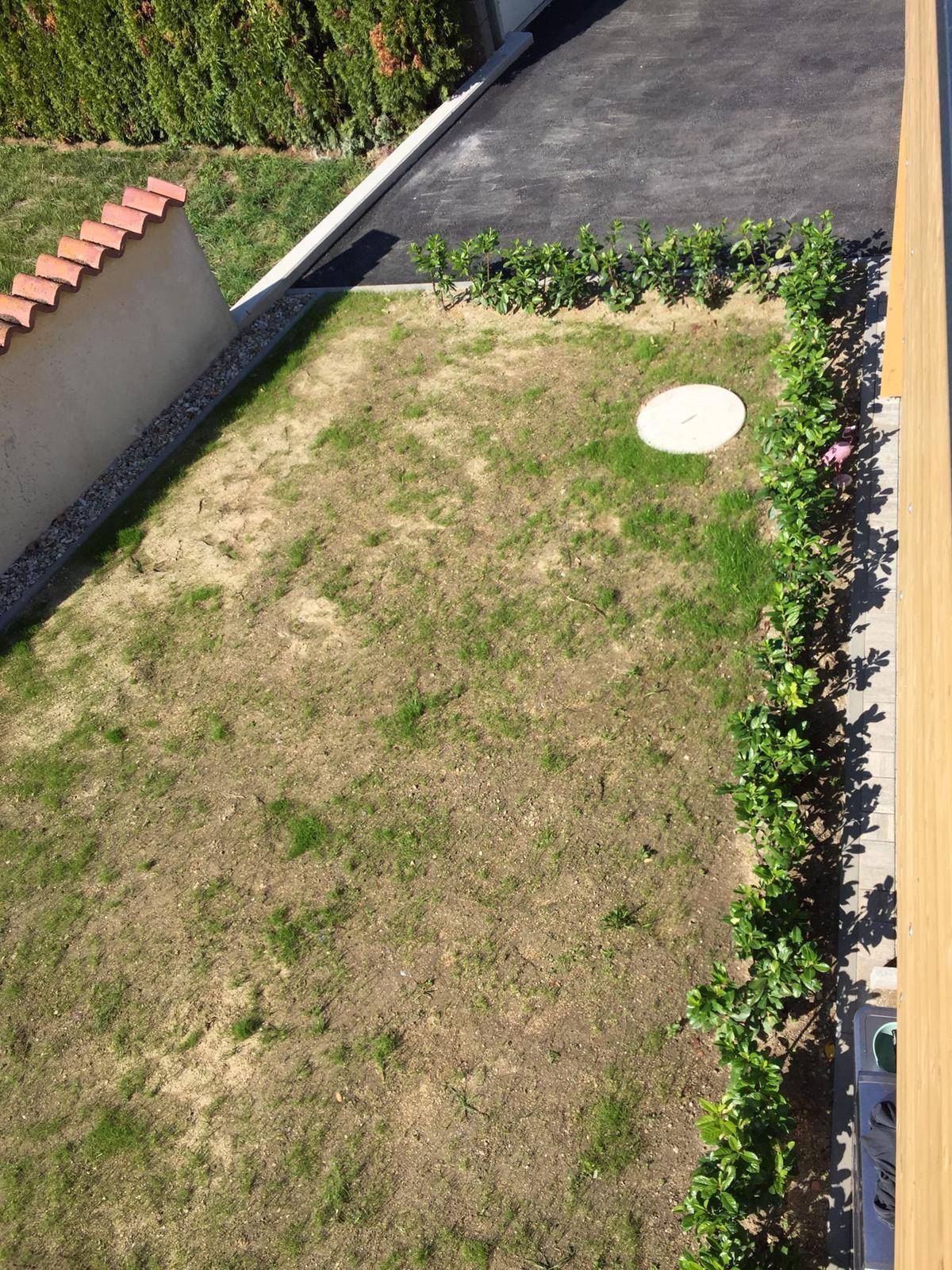 Blick von oben auf den kleinen Gartenbereich mit Rasen und jungen Hecken.