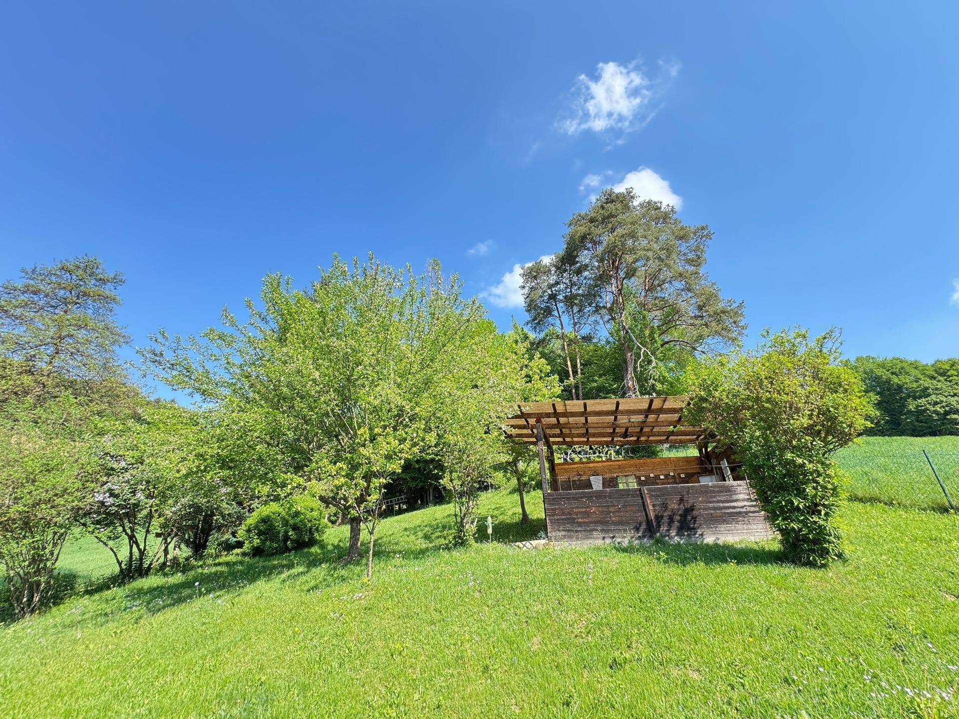 Überdachte Holzpergola im grünen Garten, ideal für entspannte Stunden im Freien.