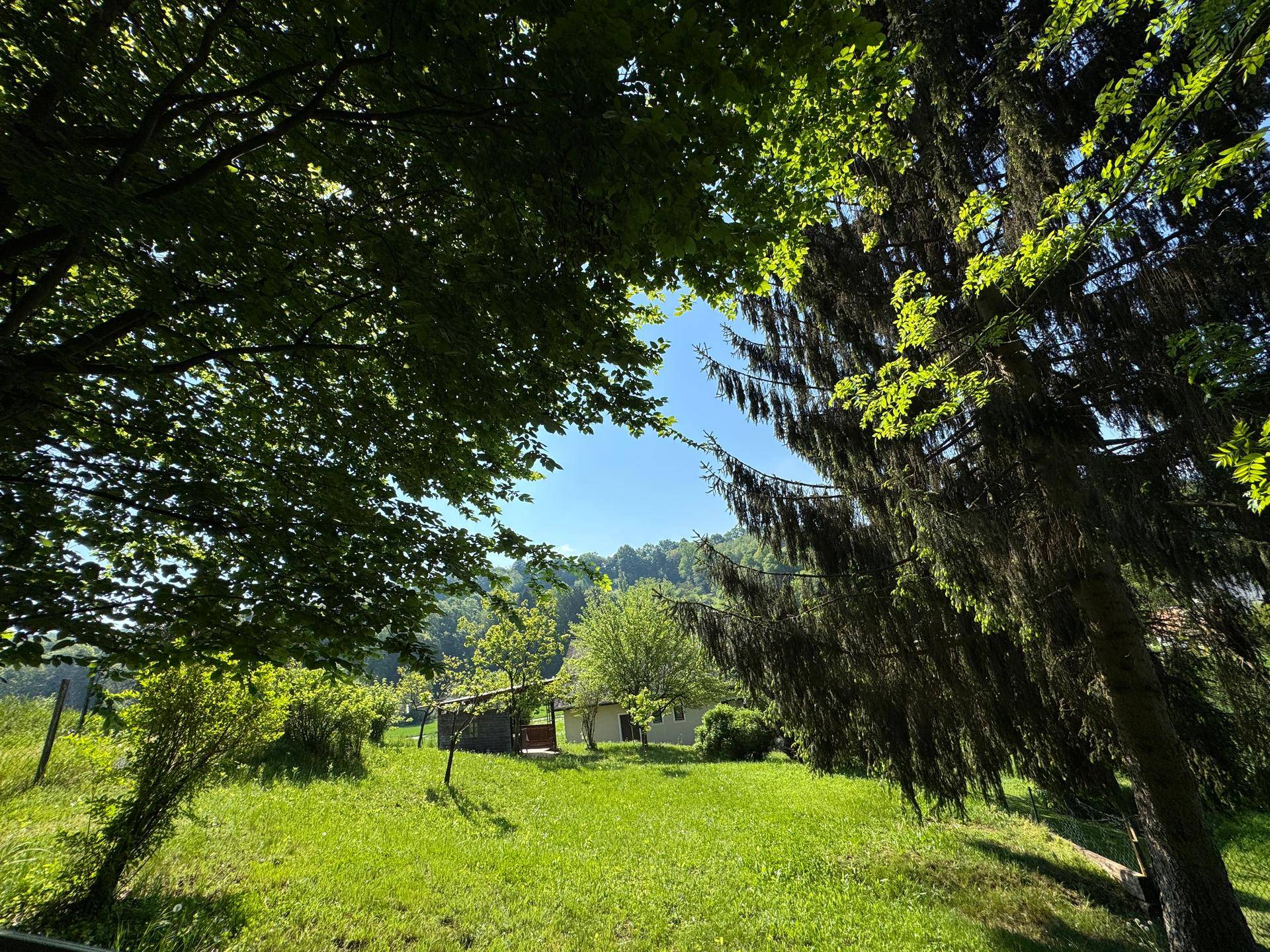 Grüner Gartenbereich mit schattenspendenden Bäumen und weitem Blick in die Natur.