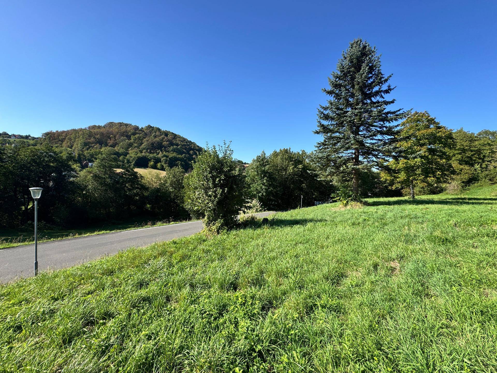 Sonnige Landschaft mit einer Straße, grünen Wiesen und bewaldeten Hügeln unter klarem blauem Himmel.
