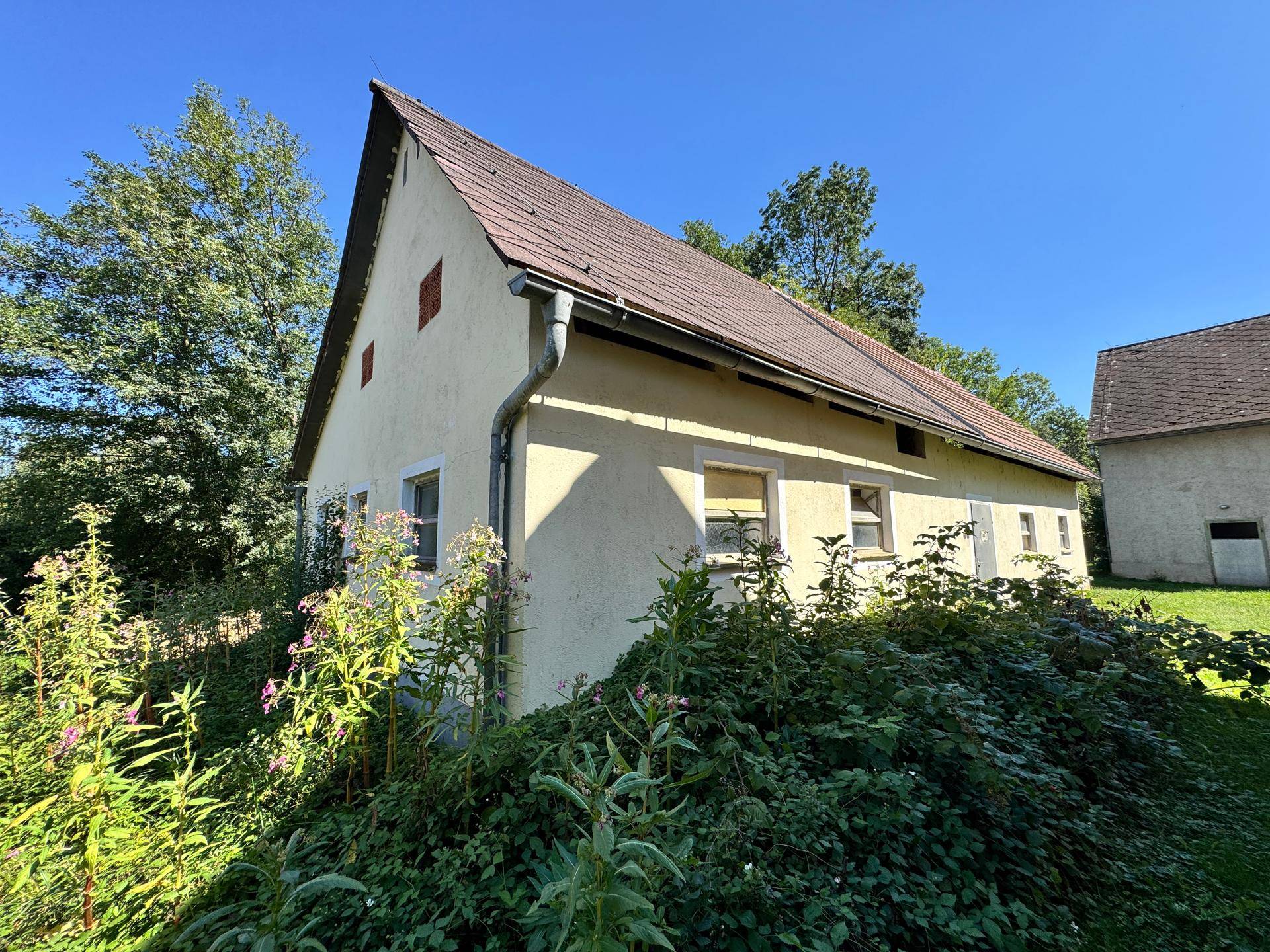 Seitenansicht eines Nebengebäudes mit gelber Fassade und Ziegeldach, umgeben von Pflanzen.