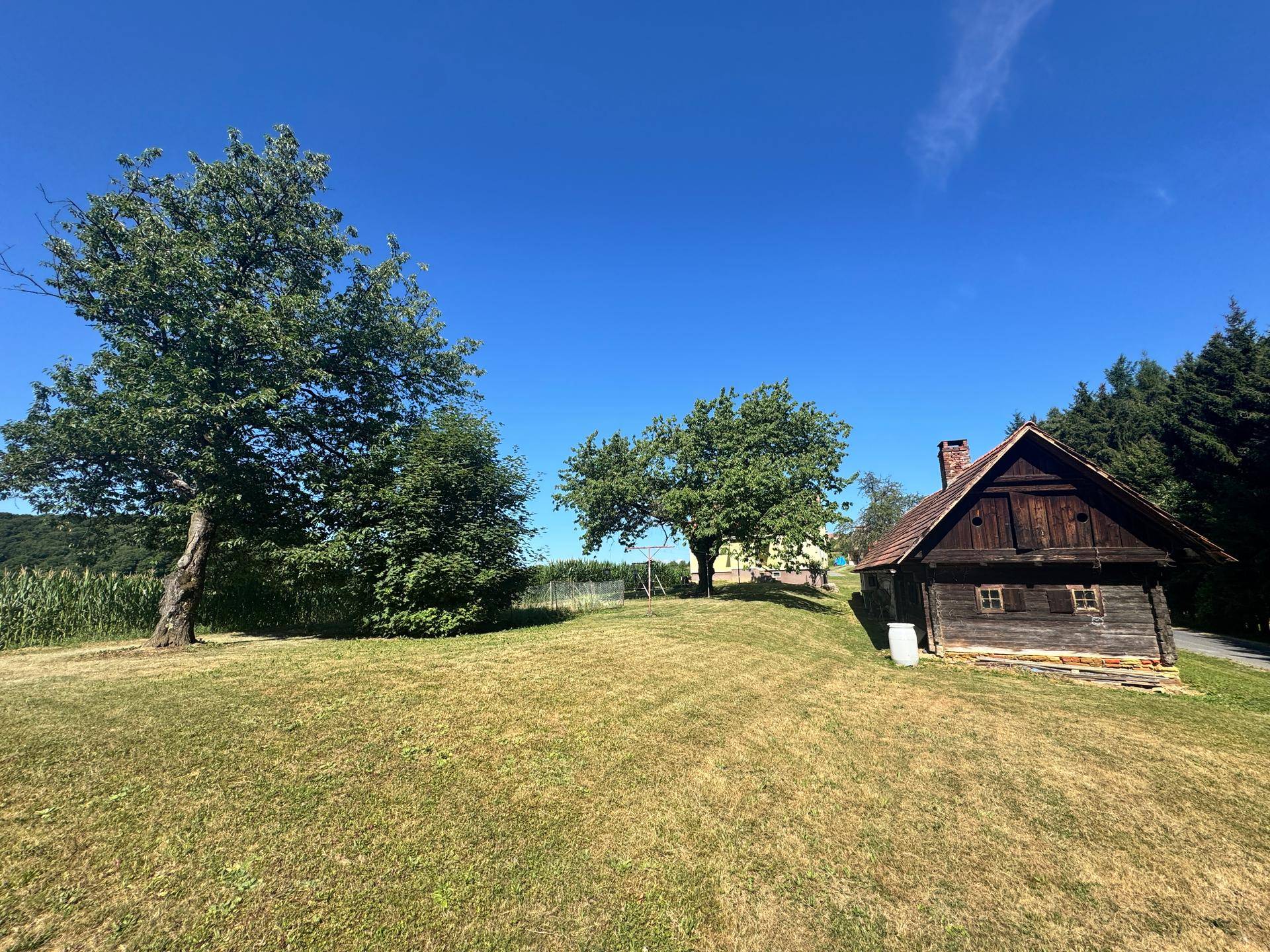 Rustikales Holzhaus mit großem Baum und weitläufiger Rasenfläche unter blauem Himmel.