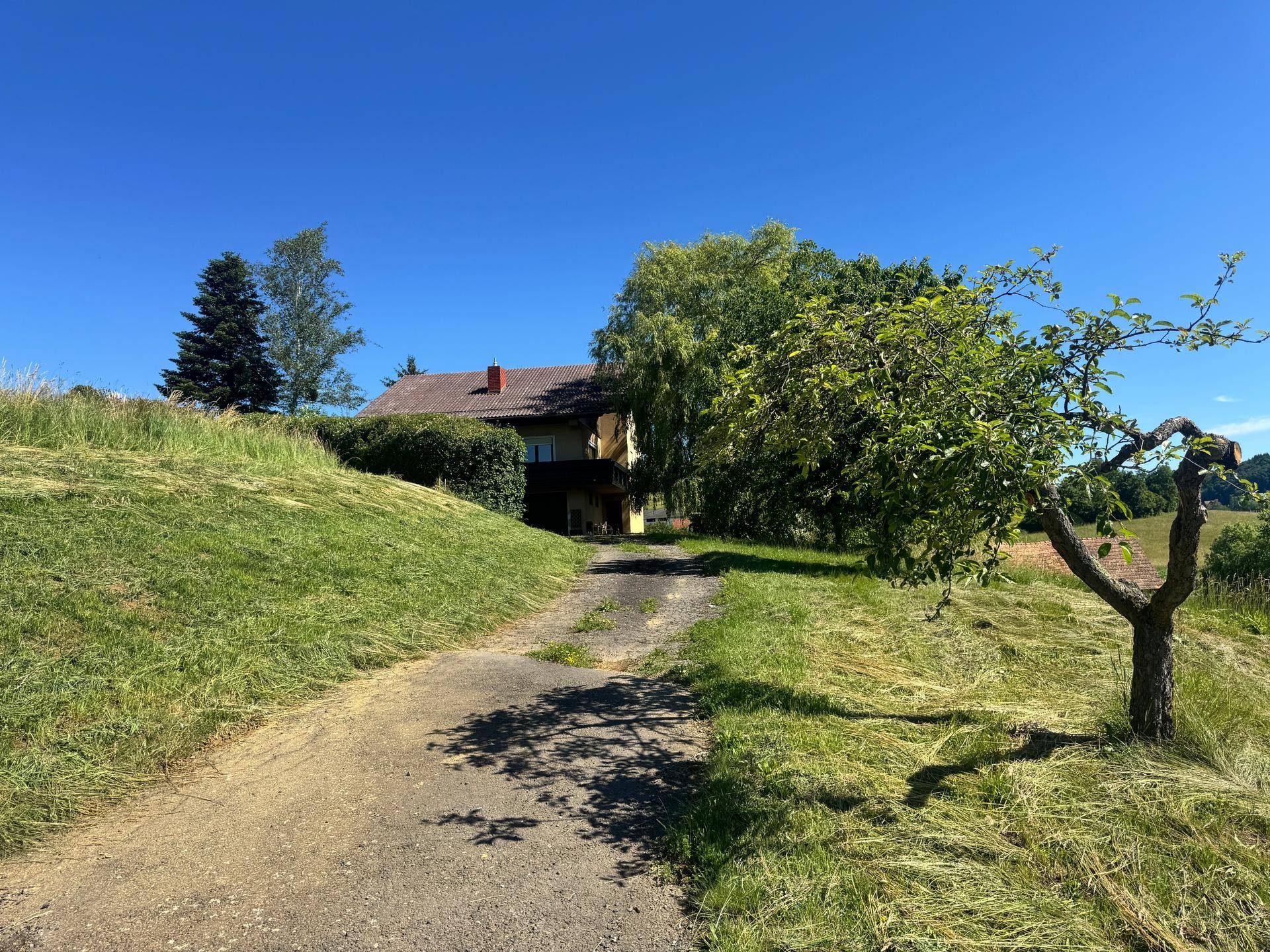 Zufahrtsweg zum Haus, umgeben von grünen Wiesen und einem Obstbaum unter strahlendem Himmel.