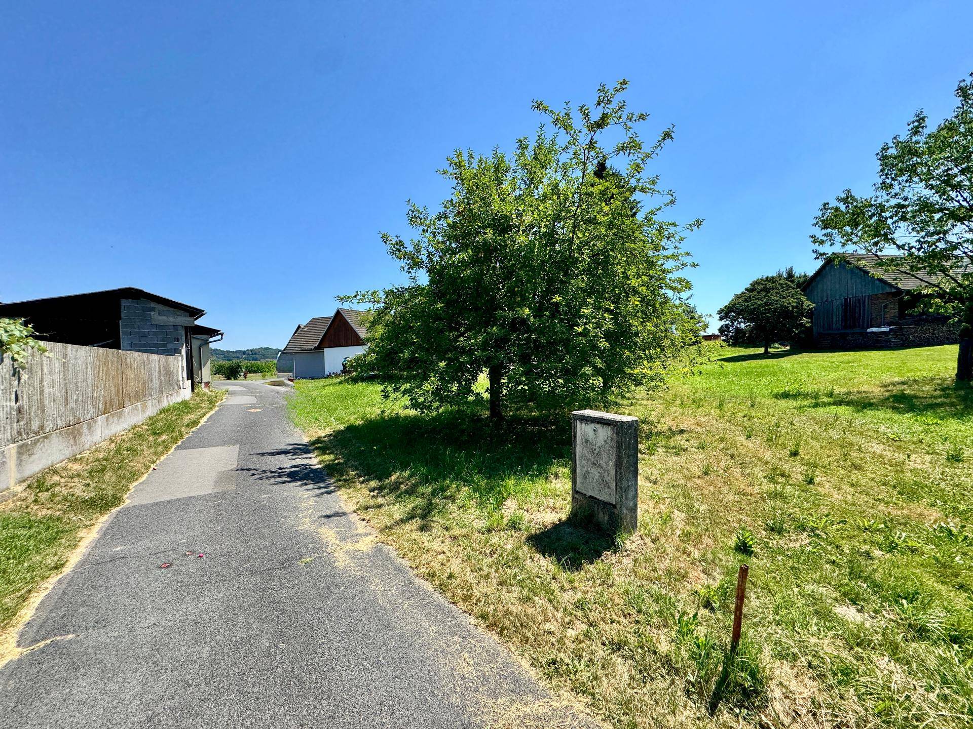 Ländliche Straße mit einem Baum und weiten Grasflächen, umgeben von weiteren Gebäuden.