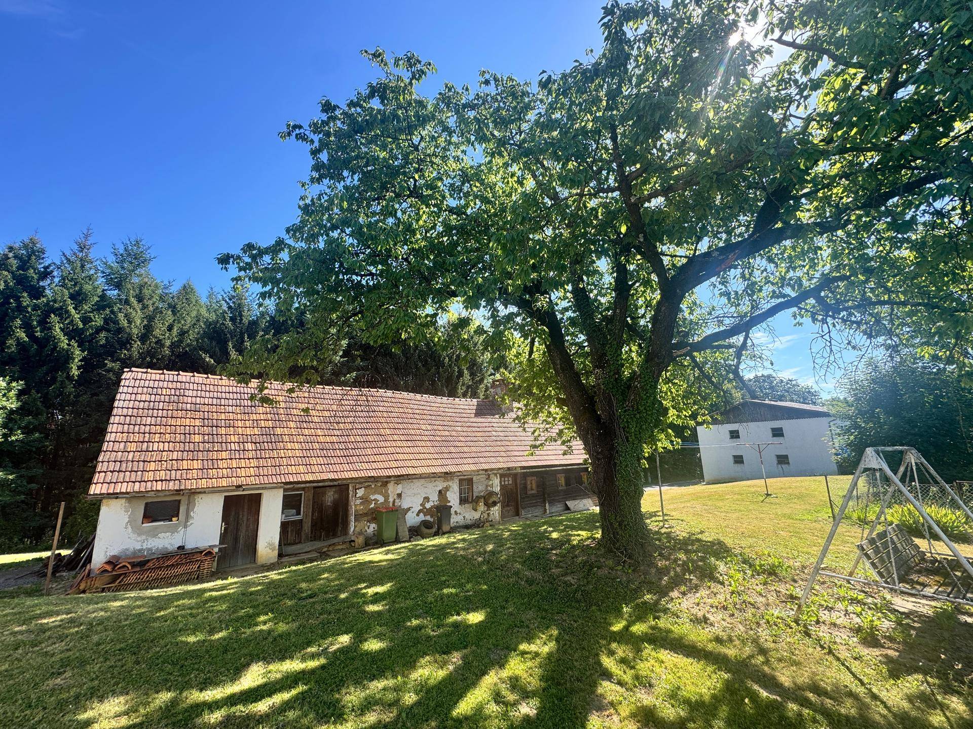 Rustikales Gebäude unter einem großen Baum mit einem weiteren Haus im Hintergrund.
