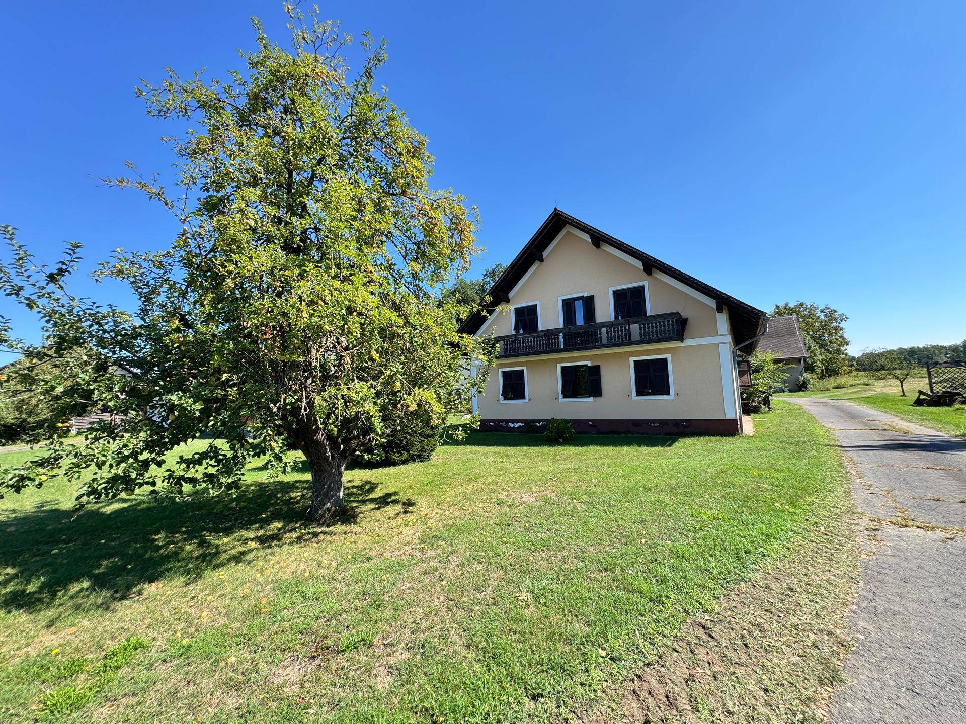 Rückansicht des Hauses mit Balkon, grüner Wiese und altem Baum unter strahlend blauem Himmel.