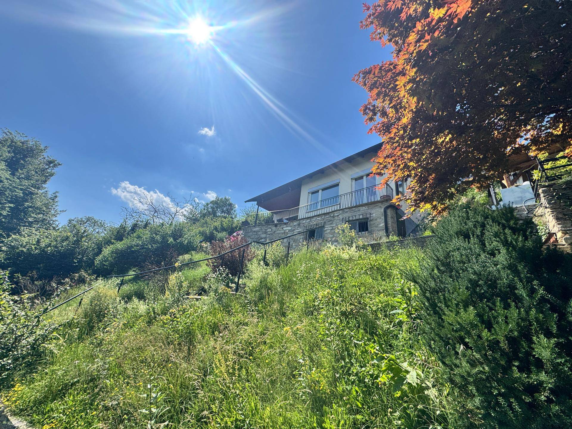 Haus auf einem sonnigen Hügel mit üppiger Vegetation und einem roten Baum im Vordergrund.