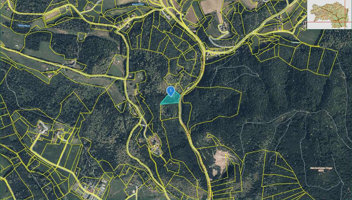 Waldgrundstück in Bad Gleichenberg – 8.268 m² Natur &amp; Wertanlage - Ansicht 6