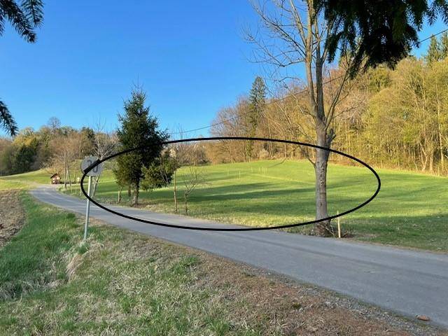 Landstraße durch grüne Hügellandschaft mit Bäumen und einem markierten Feld im Vordergrund.