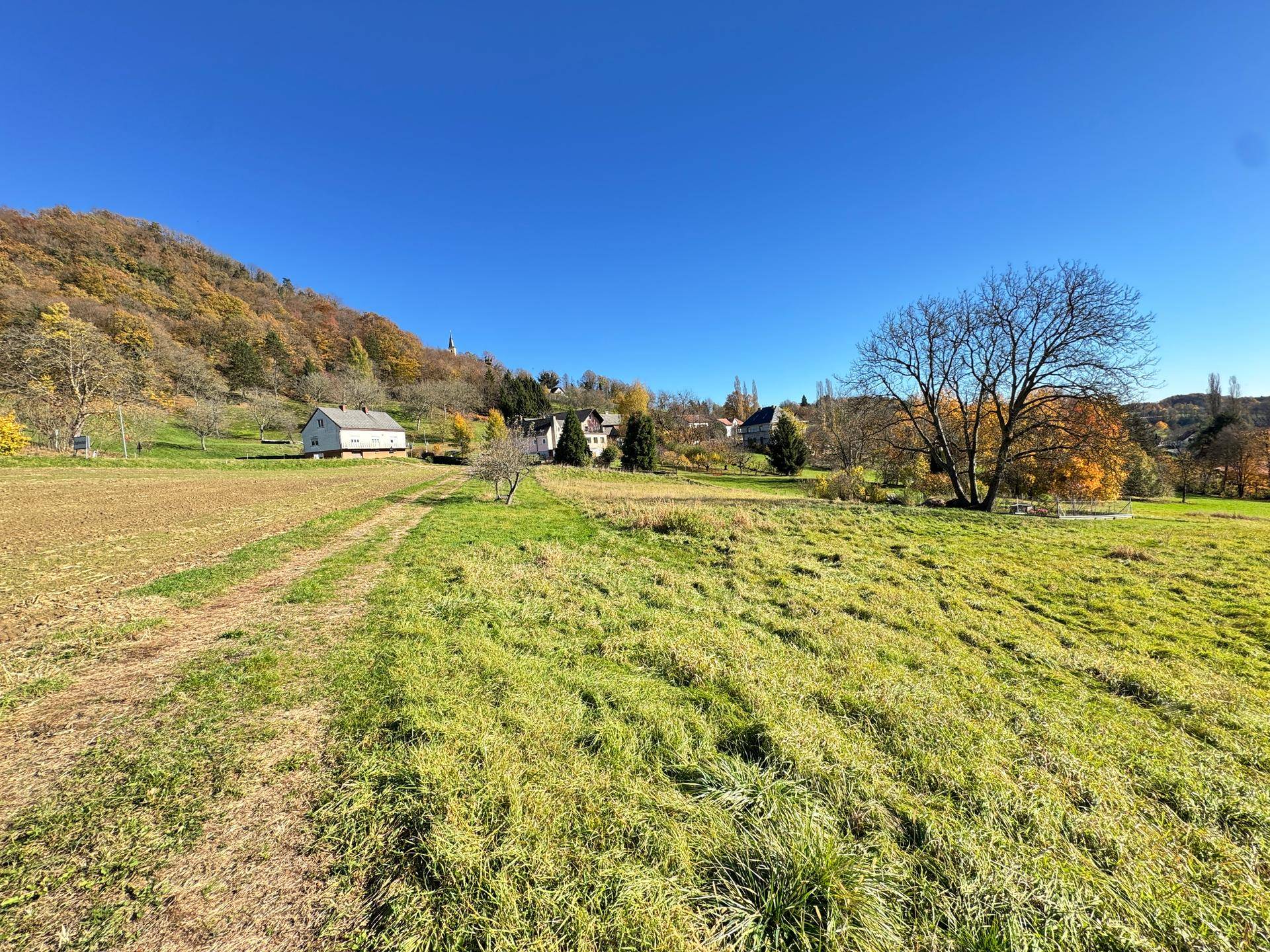 Weitläufige grüne Landschaft mit einem Feldweg und sanften Hügeln unter blauem Himmel.