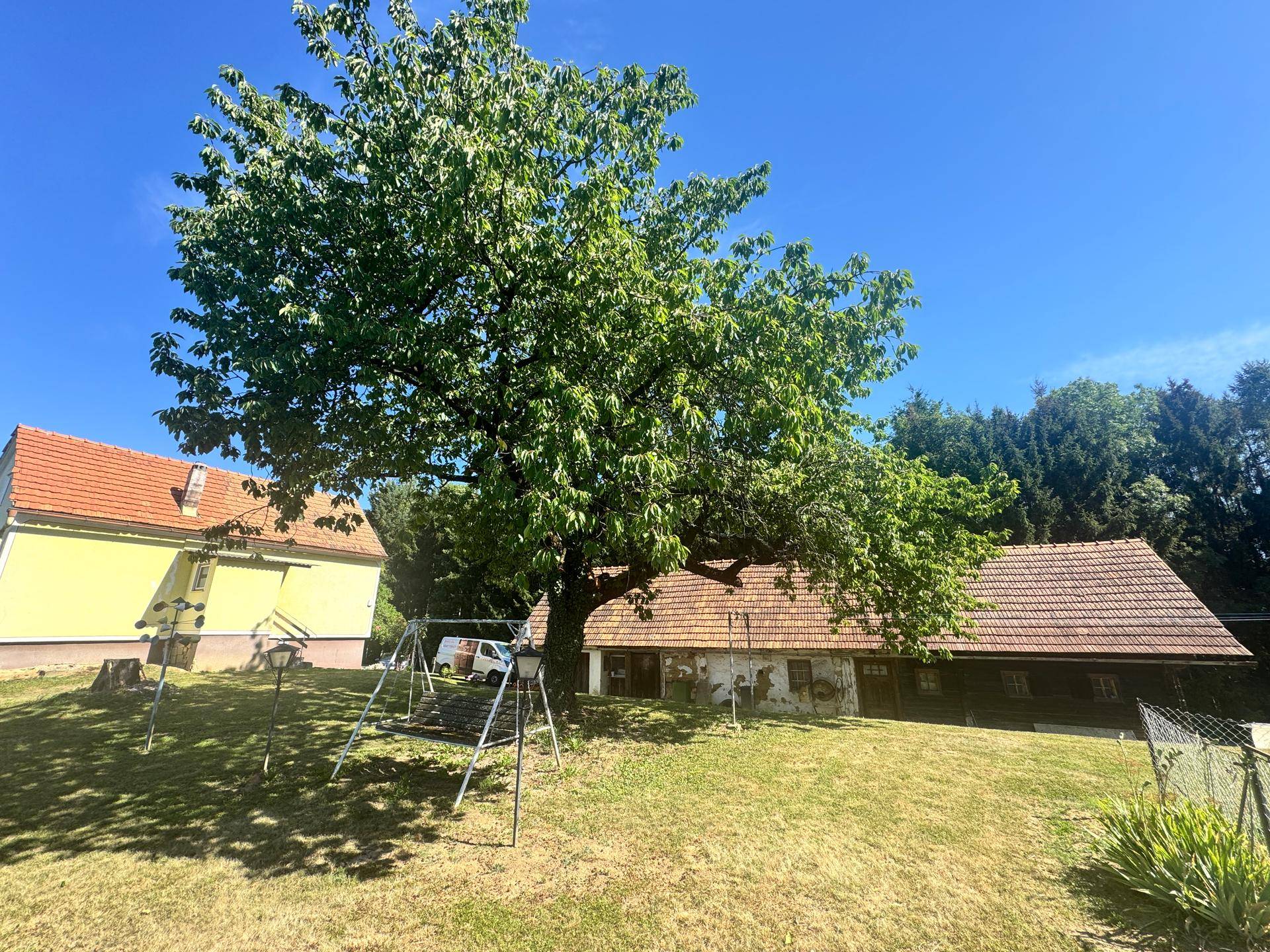 Großer Baum und Schaukel im Gartenbereich mit zwei Häusern im Hintergrund.