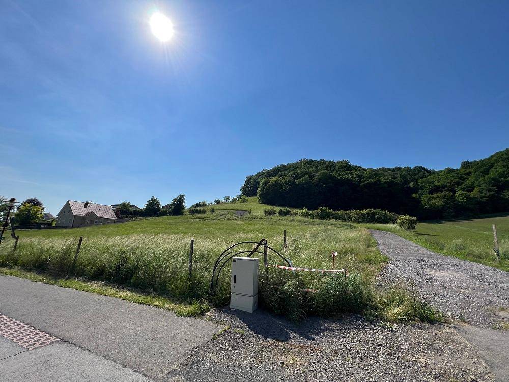 Sonnige Wiesenlandschaft mit einem Stromkasten am Wegrand und einem Haus im Hintergrund.