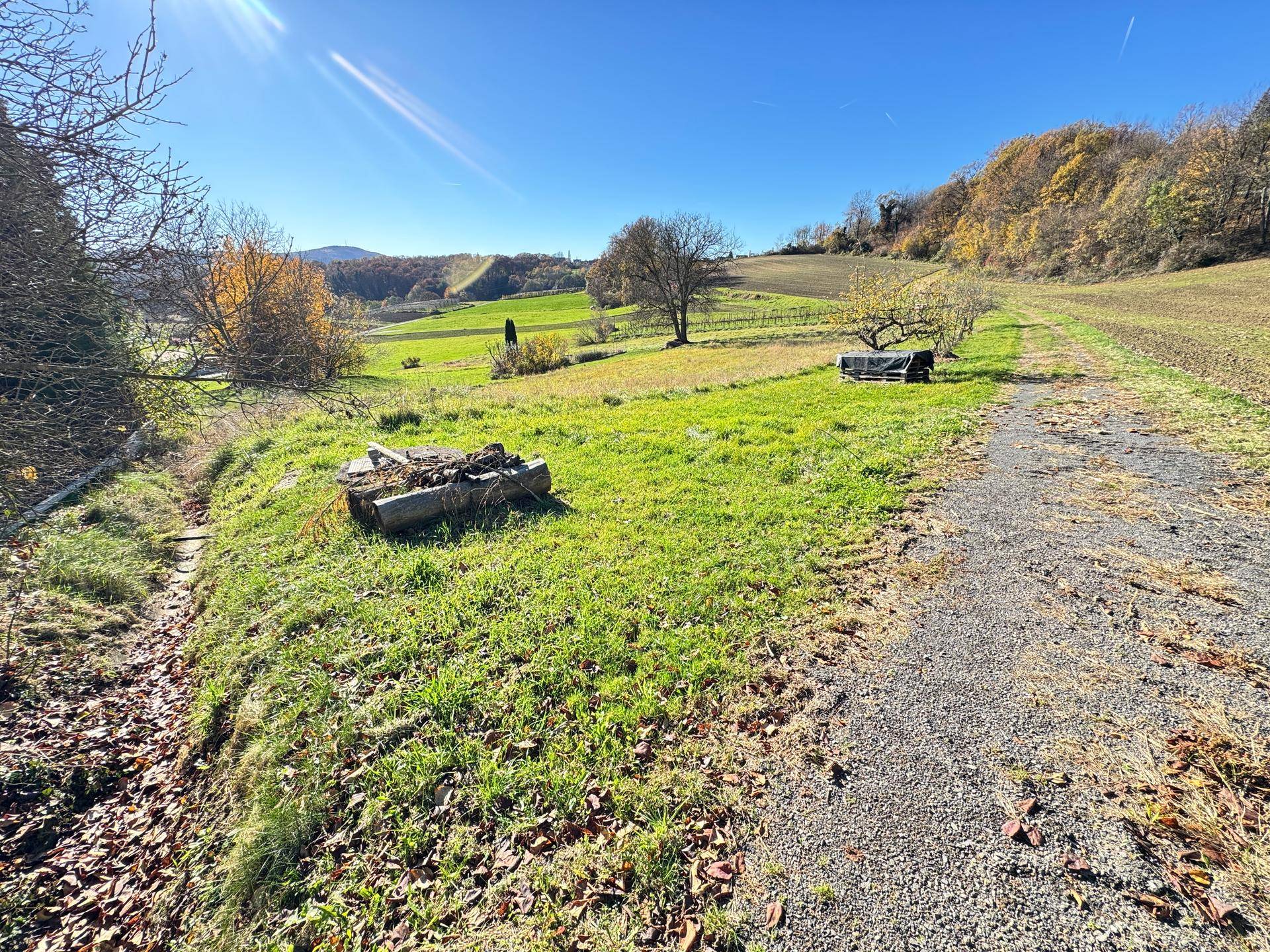Weitläufige grüne Landschaft mit einem Feldweg und sanften Hügeln unter blauem Himmel.