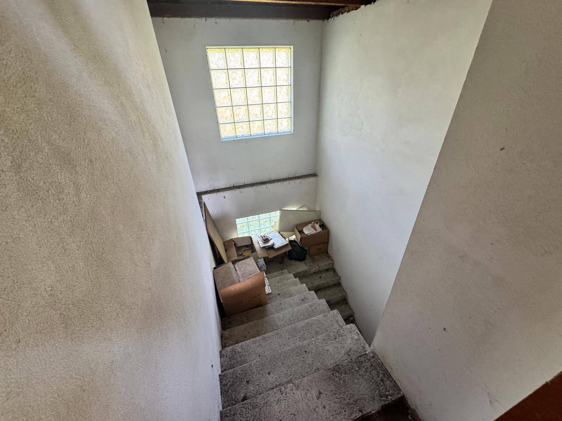 Betontreppe führt in den Kellerbereich, mit einem kleinen Fenster für Tageslicht.