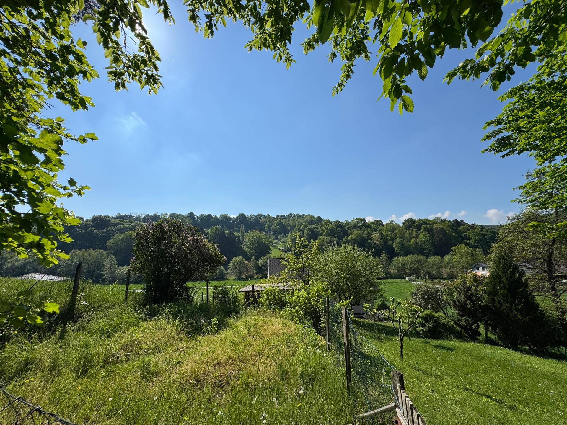 Weitläufige grüne Landschaft mit Bäumen und Feldern unter strahlend blauem Himmel.