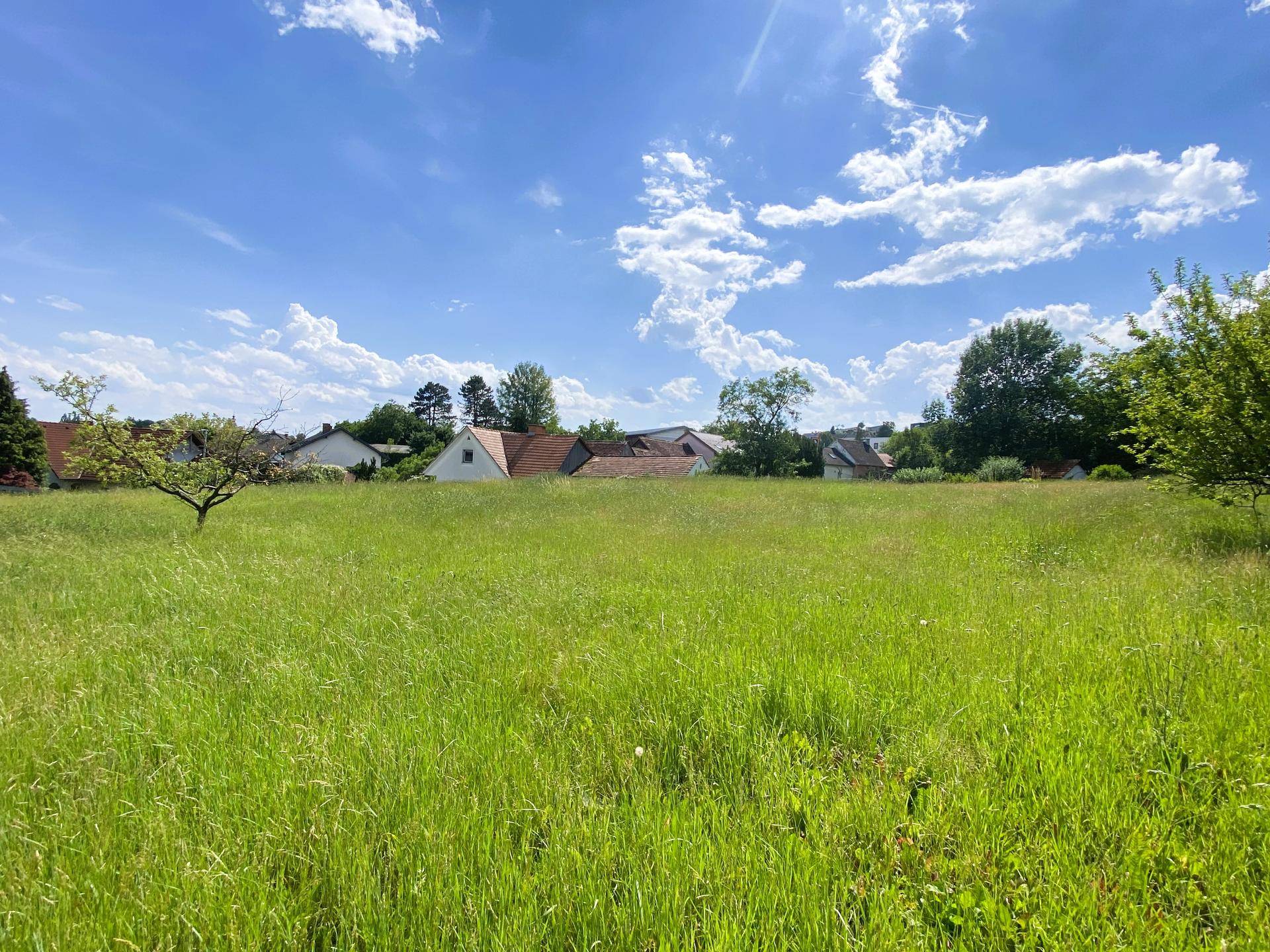 Weitläufige grüne Wiese mit vereinzelten Häusern im Hintergrund unter blauem Himmel.