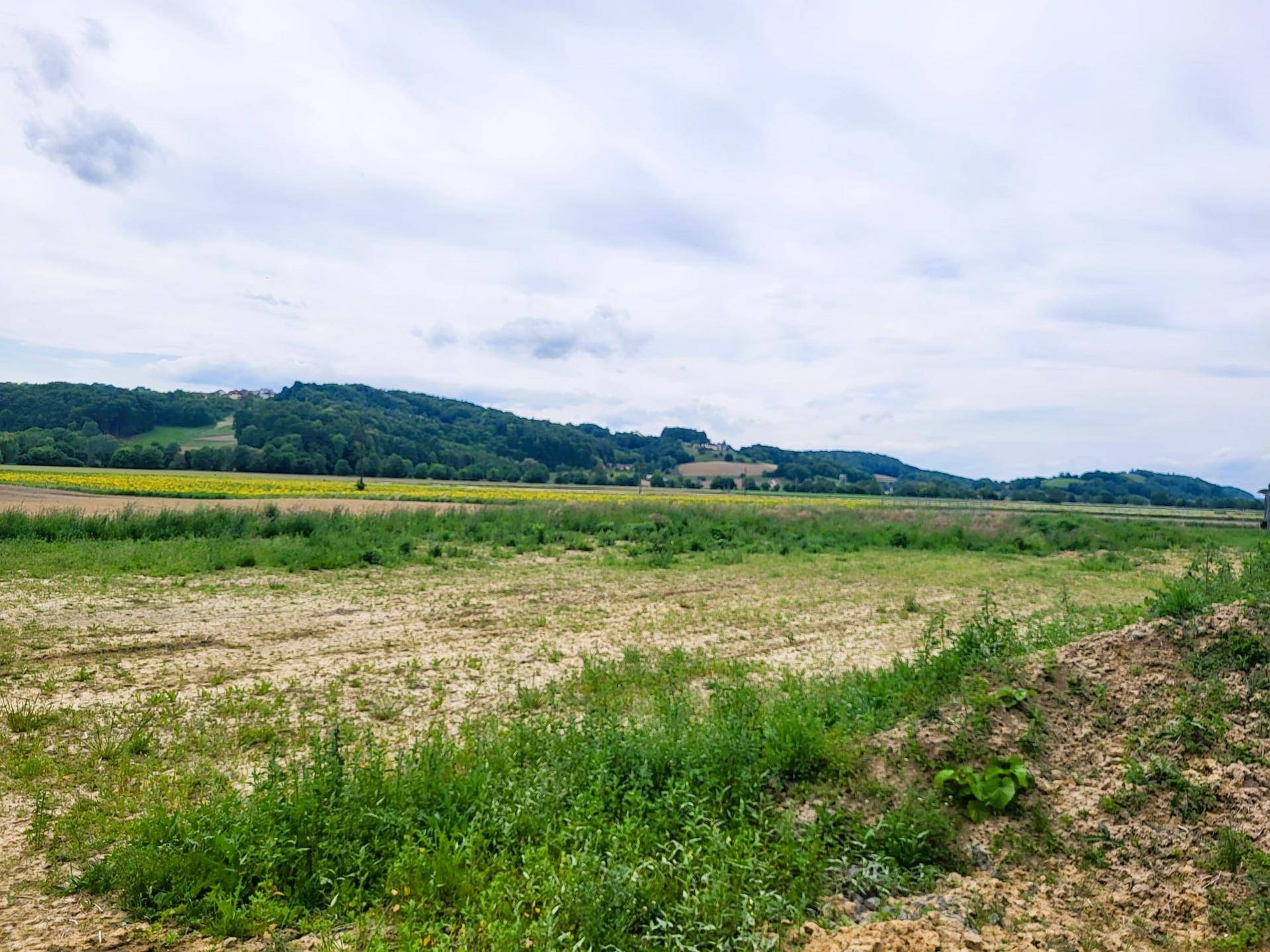 Panoramablick über weite Felder und grüne Hügel unter einem hellen Himmel.