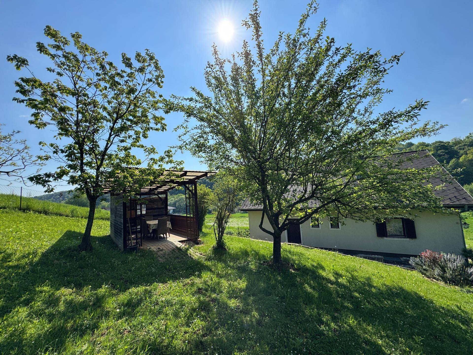 Sonnige Gartenlandschaft mit Bäumen und einer gemütlichen Holzpergola im Hintergrund.