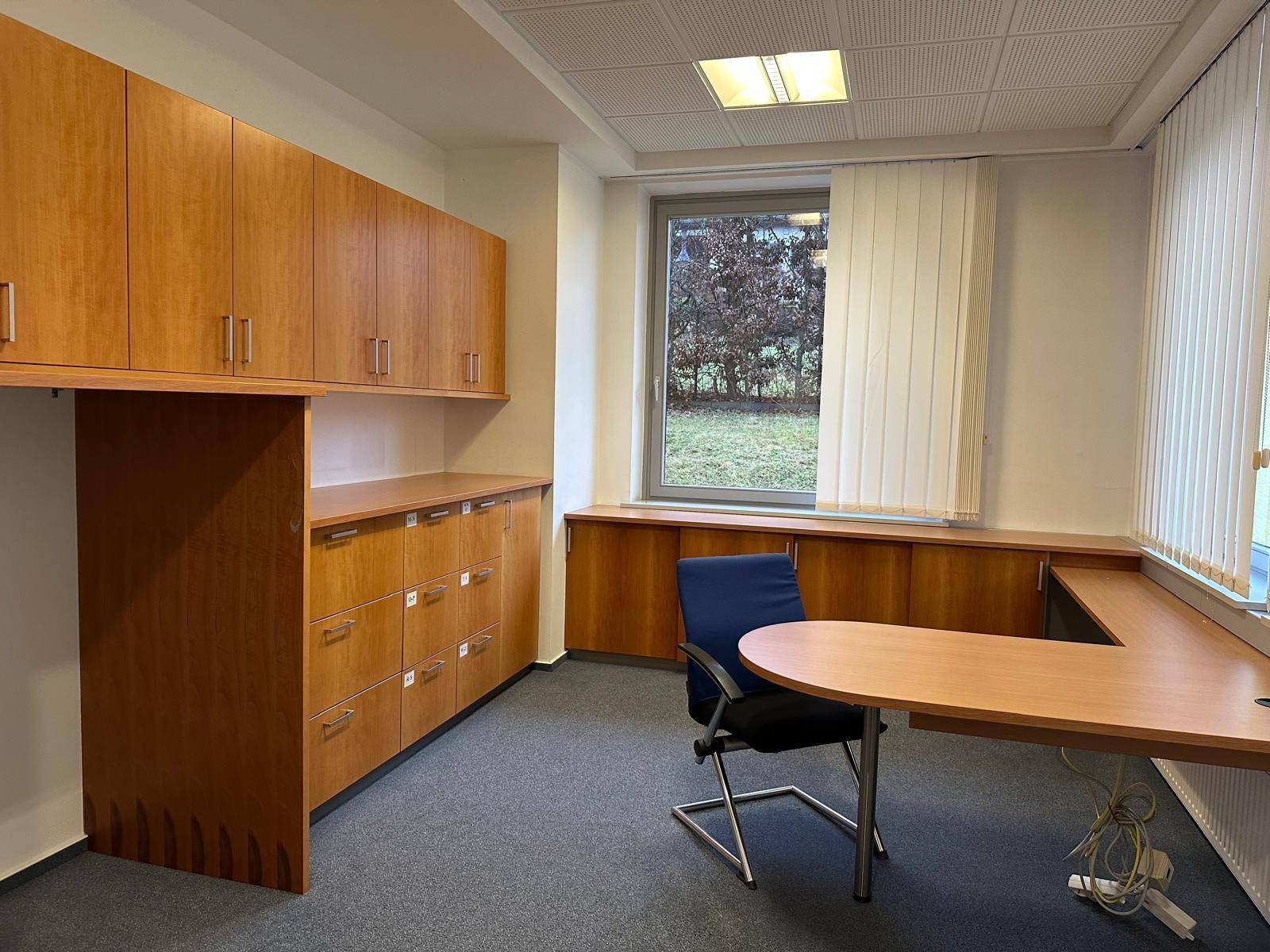 Helles Büro mit umfangreichen Holzschränken, Teppichboden und Fensterblick ins Grüne.