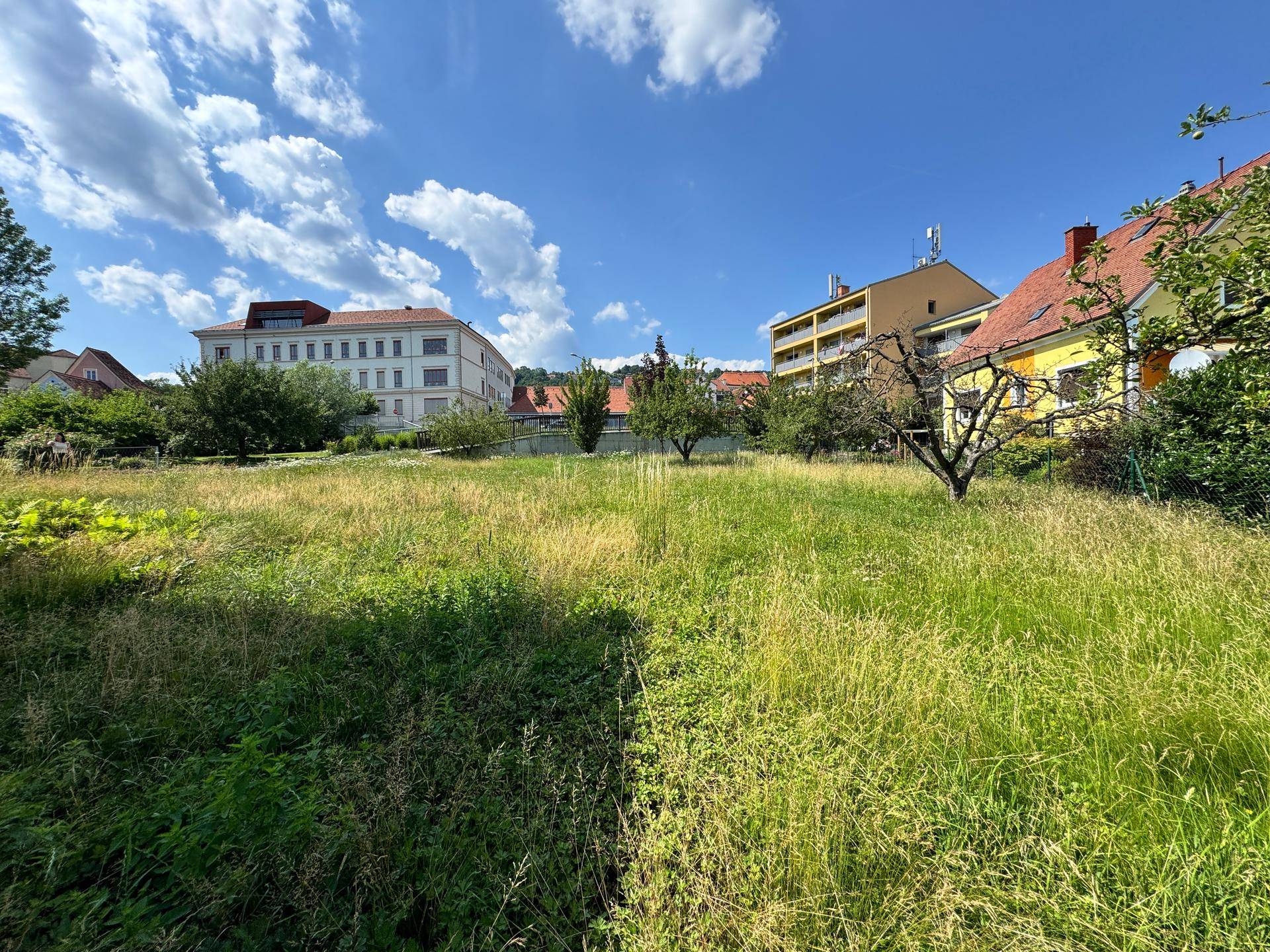 Großes, sonniges Grundstück mit hohem Gras und Blick auf verschiedene Wohngebäude in der Umgebung.
