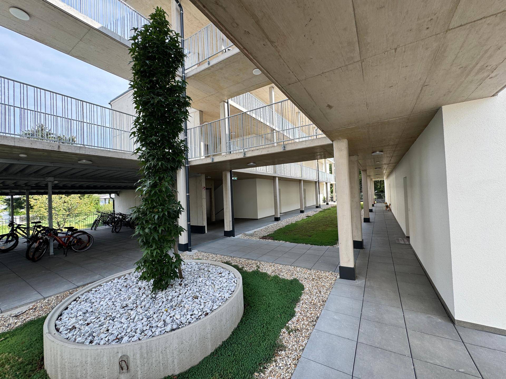 Begrünter Innenhof mit zentralem Baum, Fahrradstellplätzen und modernen Gehwegen zwischen den Gebäuden.