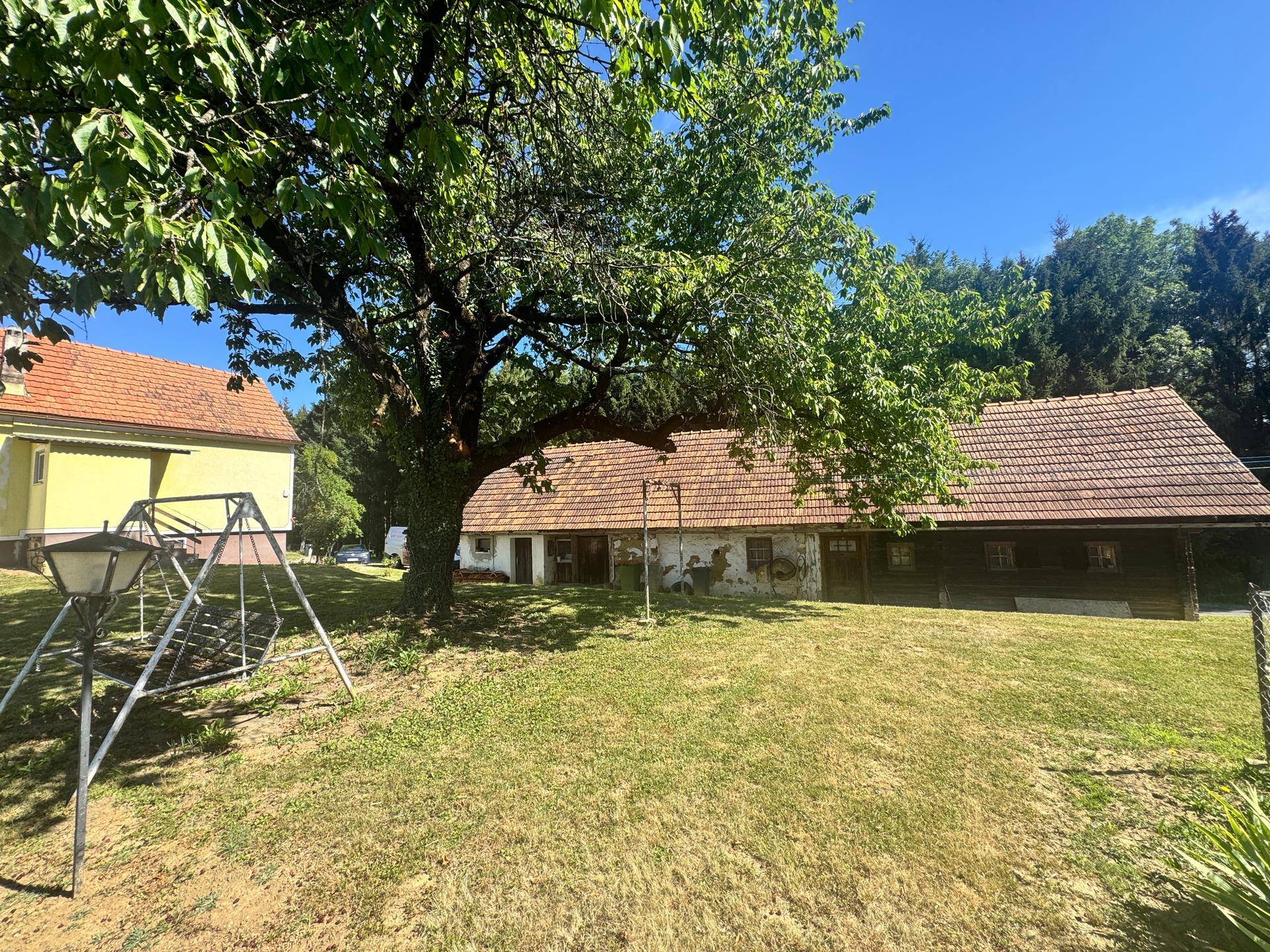 Rustikales Gebäude unter einem großen Baum mit dem gelben Haus im Hintergrund.