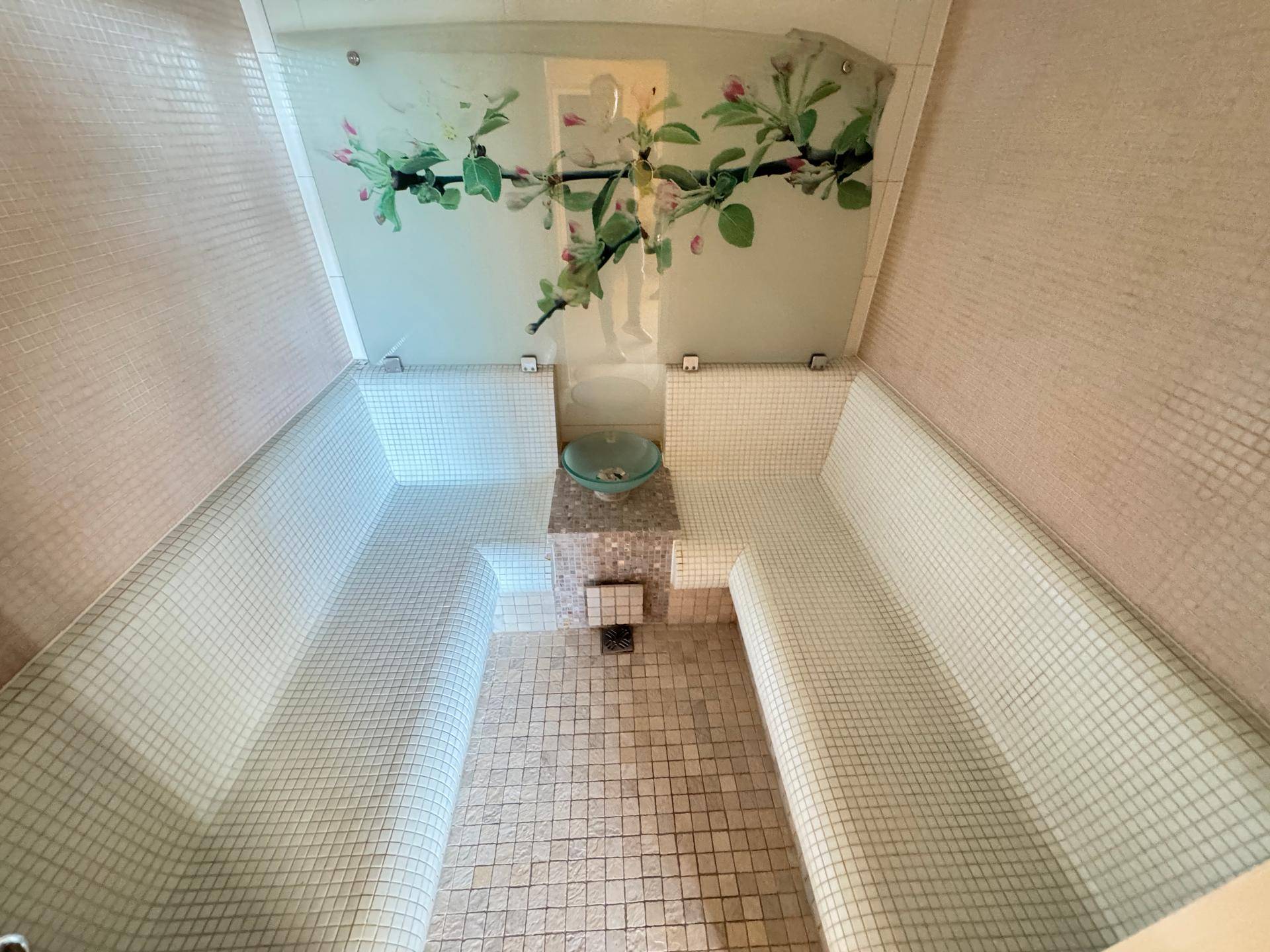 Dampfbad mit Mosaikfliesen und floralem Dekor an der Decke.