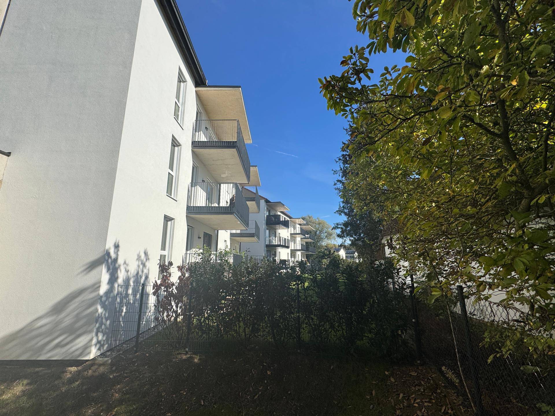 Begrünter Innenhof zwischen modernen Gebäuden mit Wegen und einem jungen Baum.