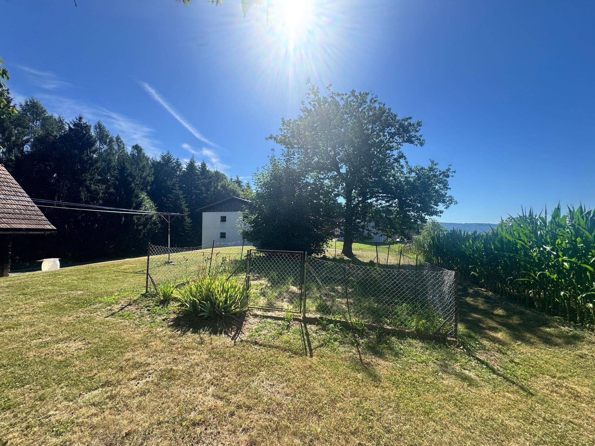 Grüner Gartenbereich mit Zaun, Bäumen und einem weißen Gebäude in der Ferne.
