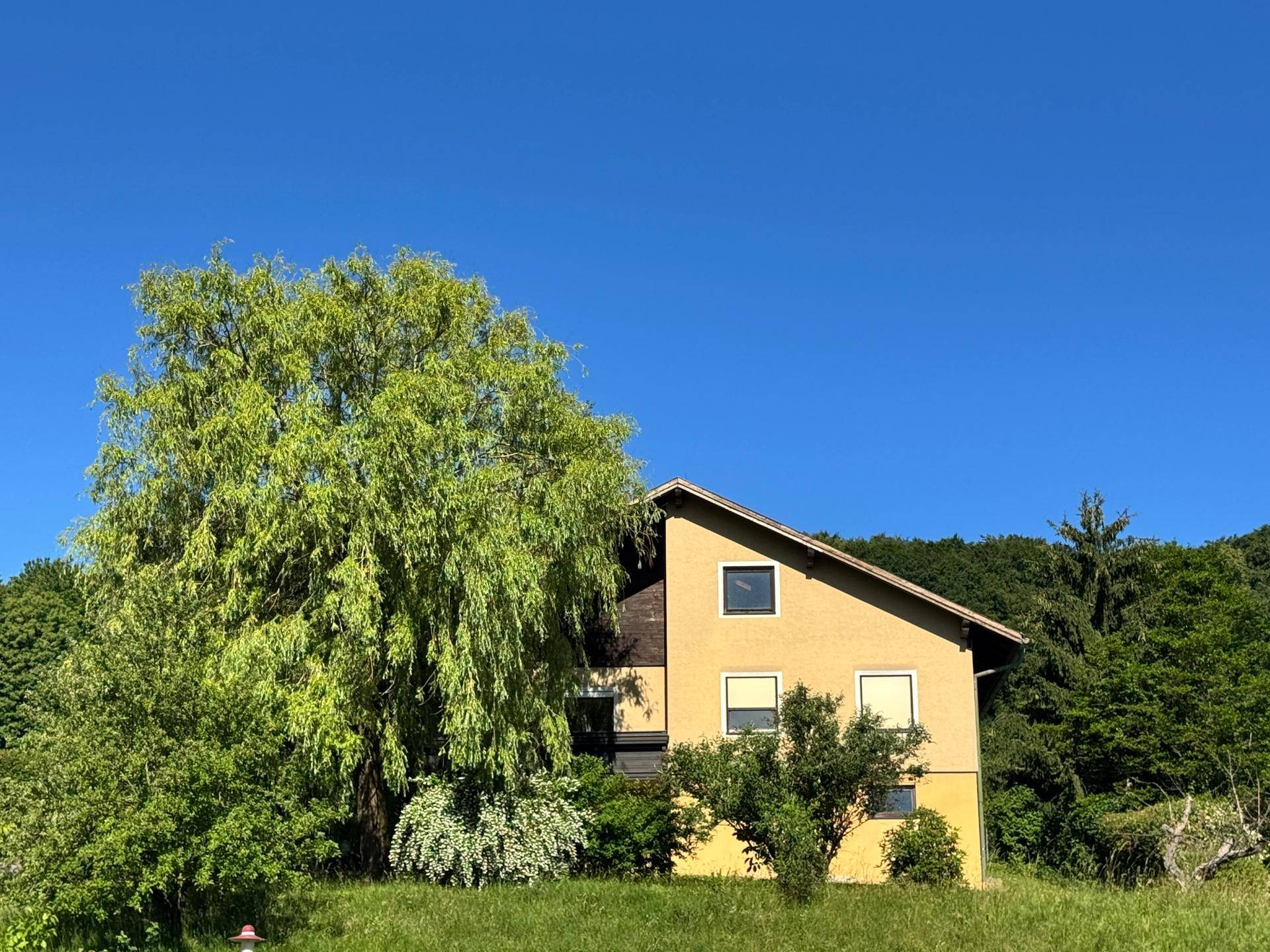 Haus in ländlicher Umgebung, umgeben von Bäumen und grünen Wiesen unter blauem Himmel.