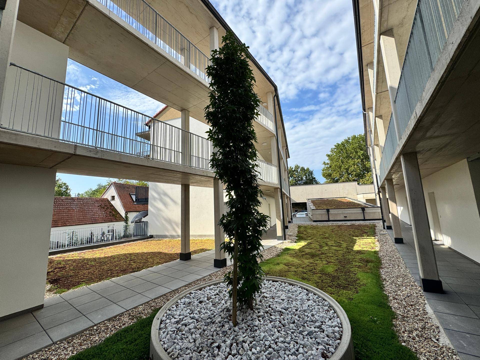 Begrünter Innenhof mit zentralem Baum, Fahrradstellplätzen und modernen Gehwegen zwischen den Gebäuden.