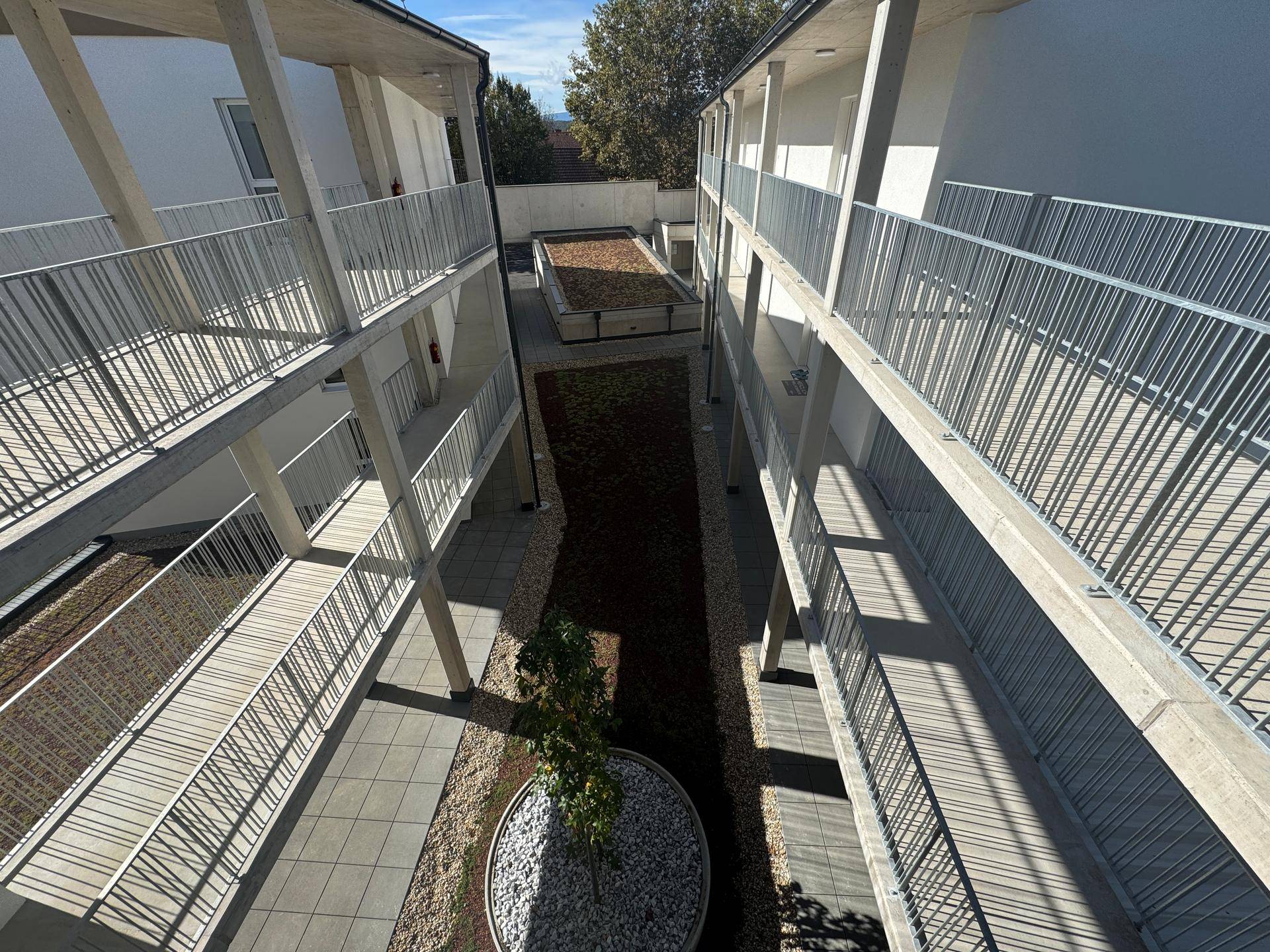 Innenhof eines Neubaus mit Zugang zu den Wohnungen und minimalistischer Bepflanzung.