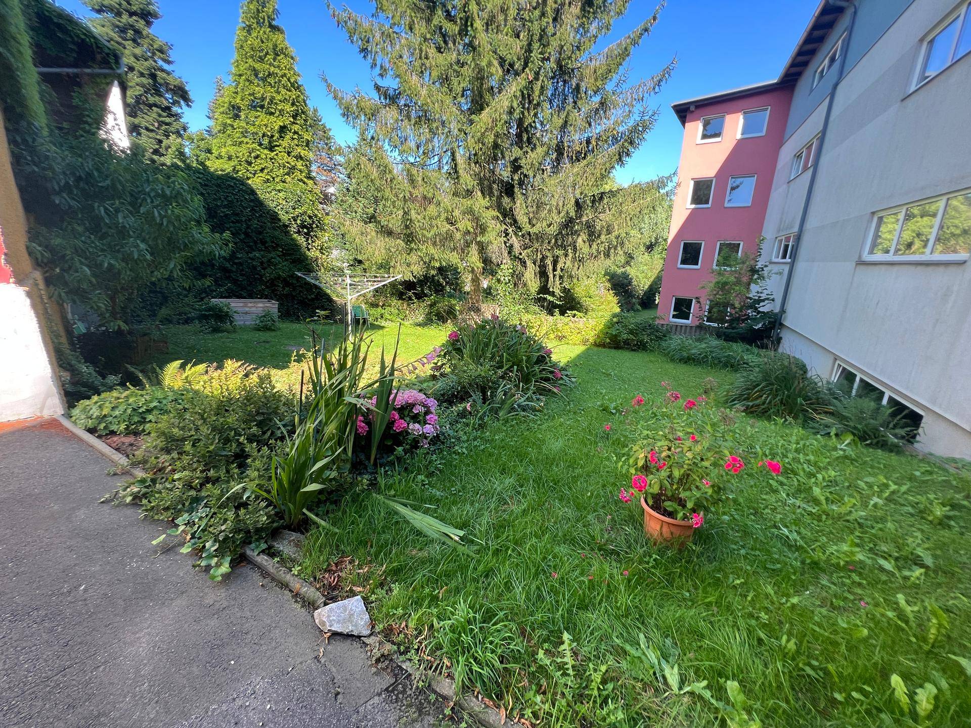 Gepflegter Gartenbereich mit Rasenfläche, Blumenbeeten und hohen Nadelbäumen neben einem Gebäude.
