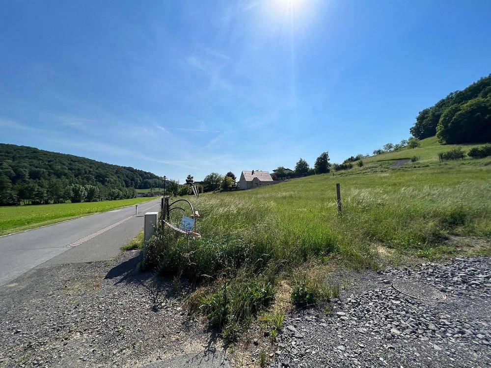 Sonniges Feld neben einer Landstraße mit einem Wegweiser und Blick auf entfernte Gebäude.